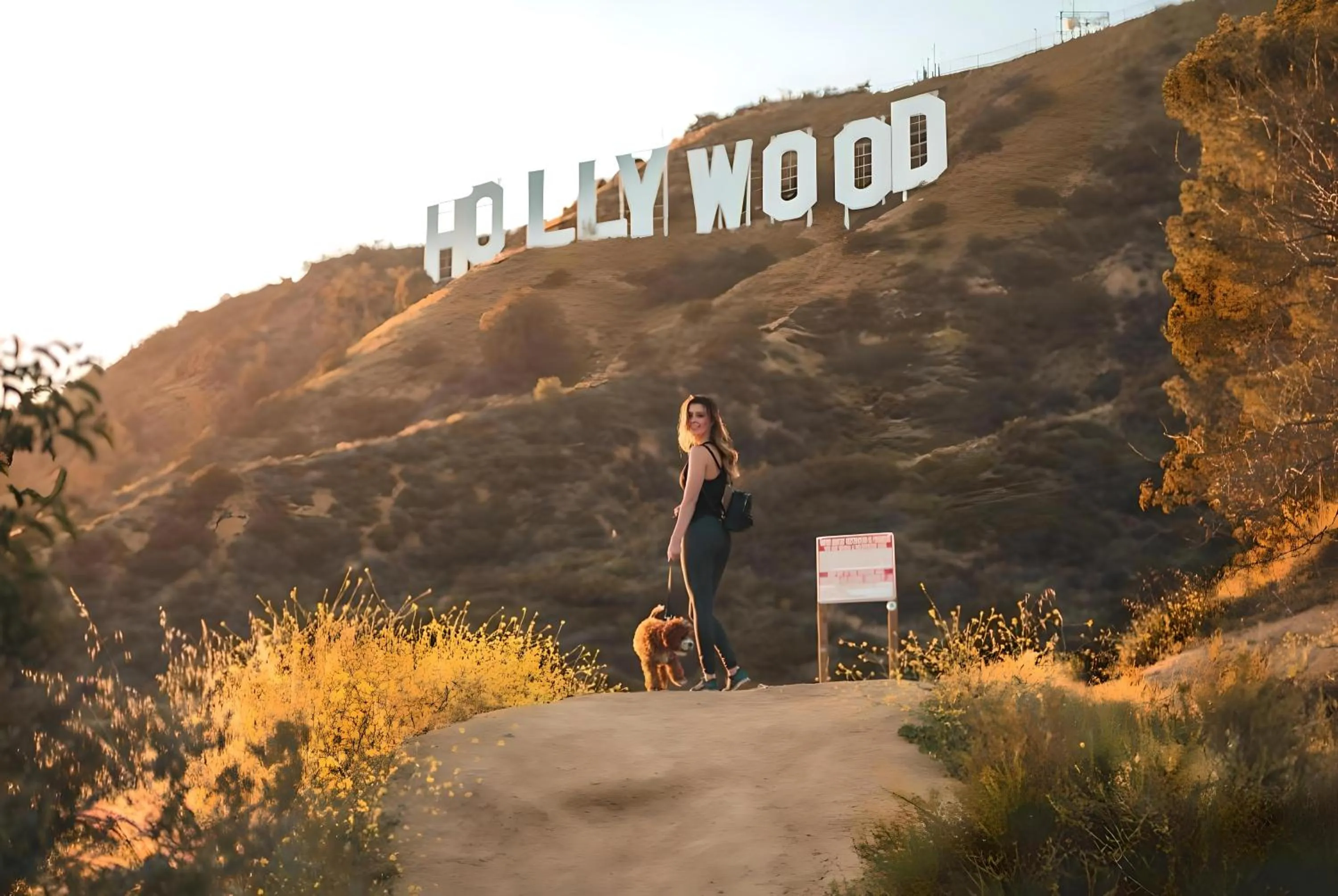 Nearby landmark in Los Angeles 3BR Villa Suites with Free Parking