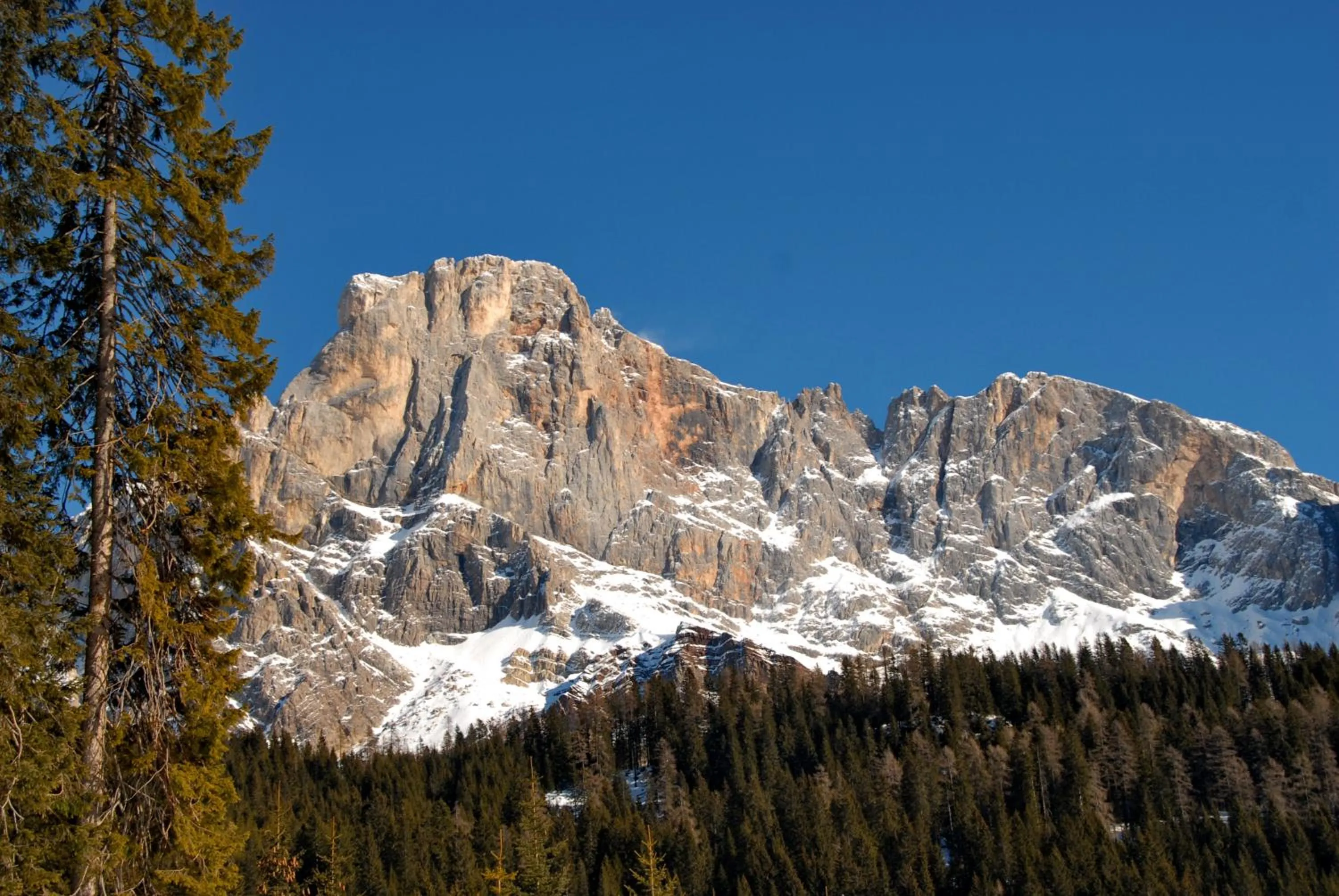 Natural landscape in Hotel Villa Aurora