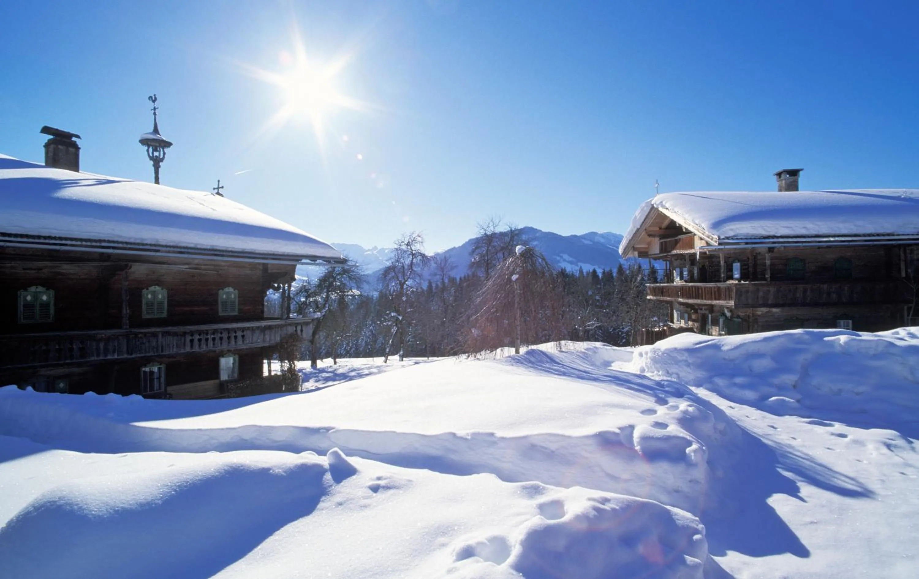 Natural landscape in Resort Tirol am Wildenbach