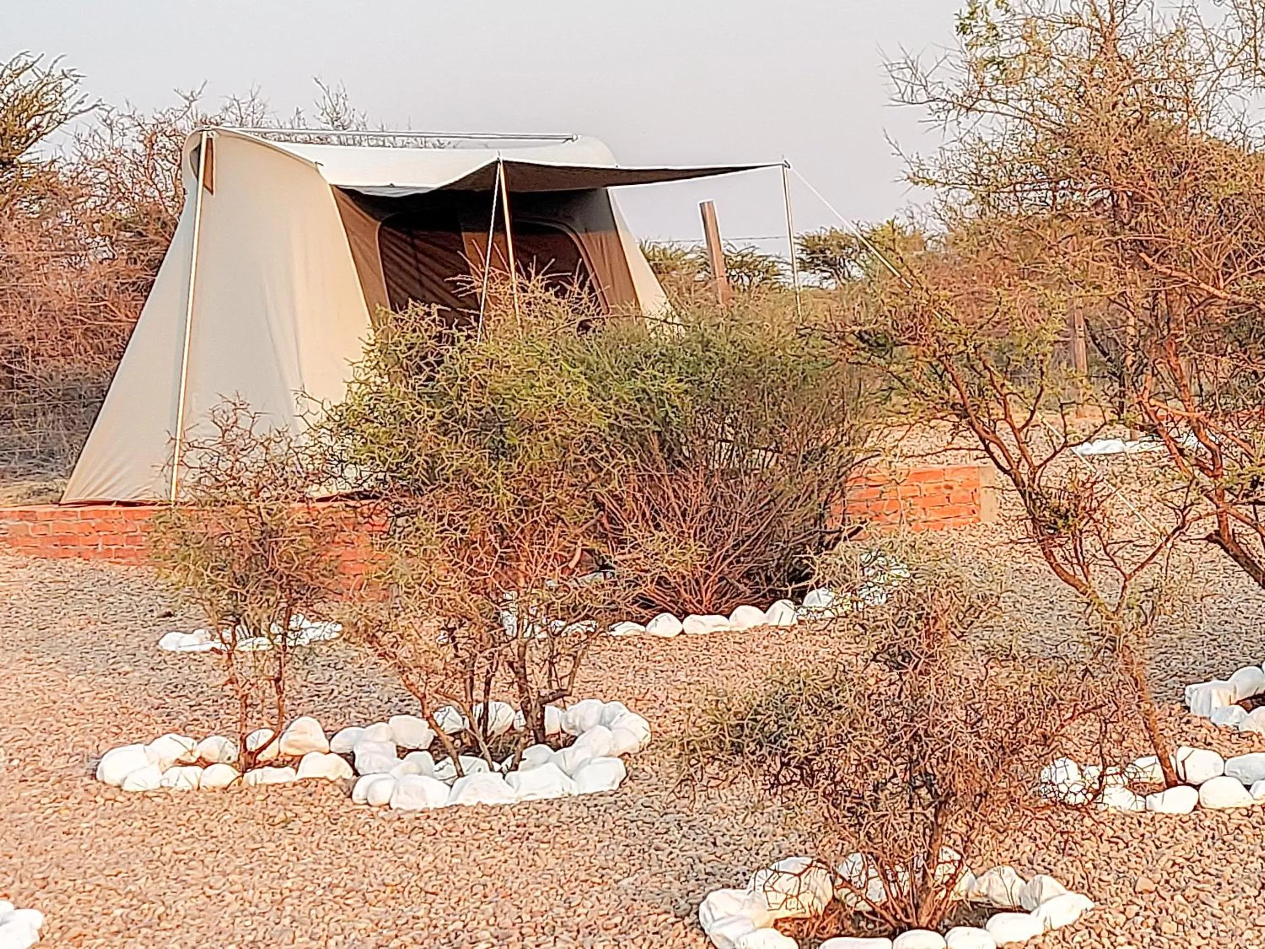 Garden in ZenZontle GlampingSMA