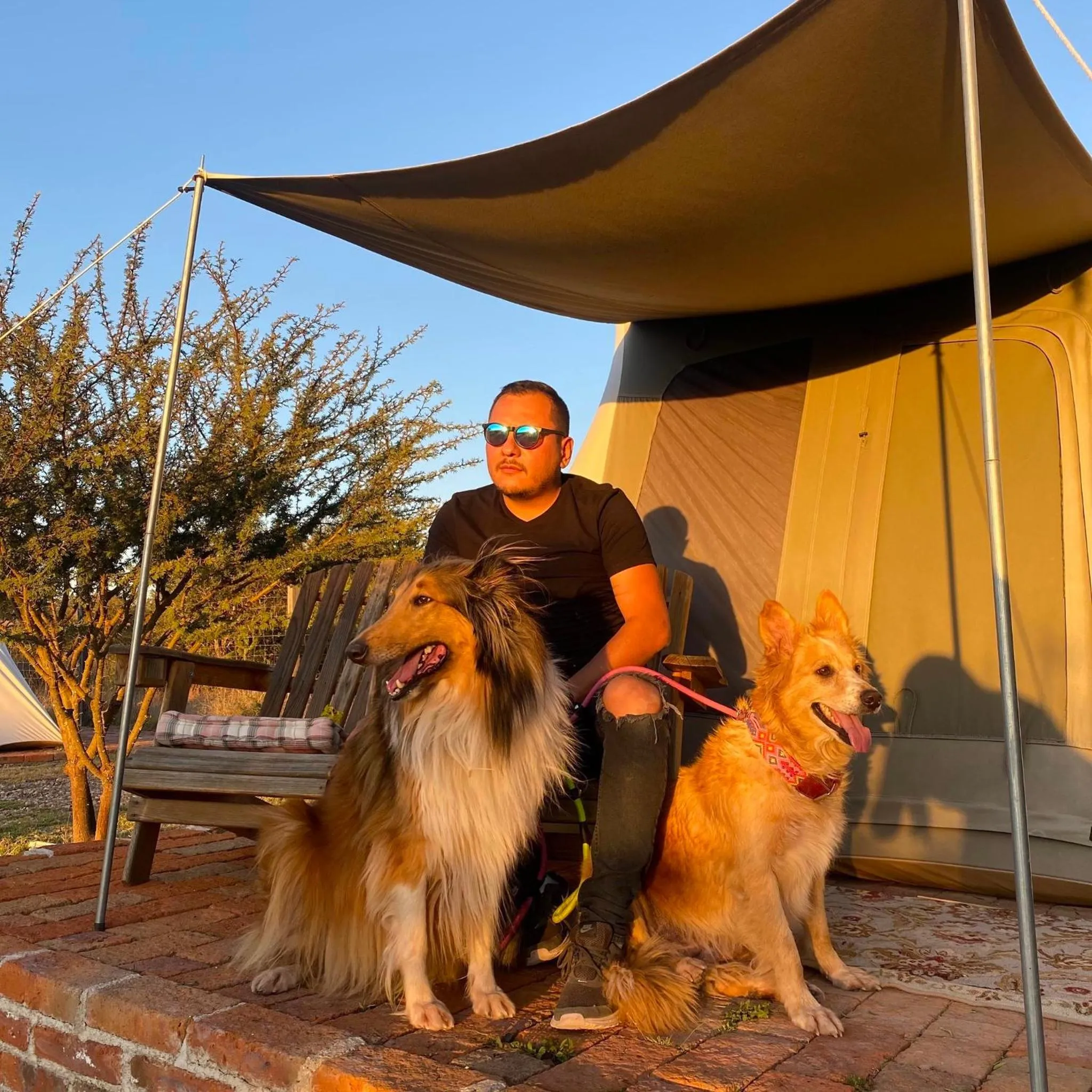 Pets in ZenZontle GlampingSMA