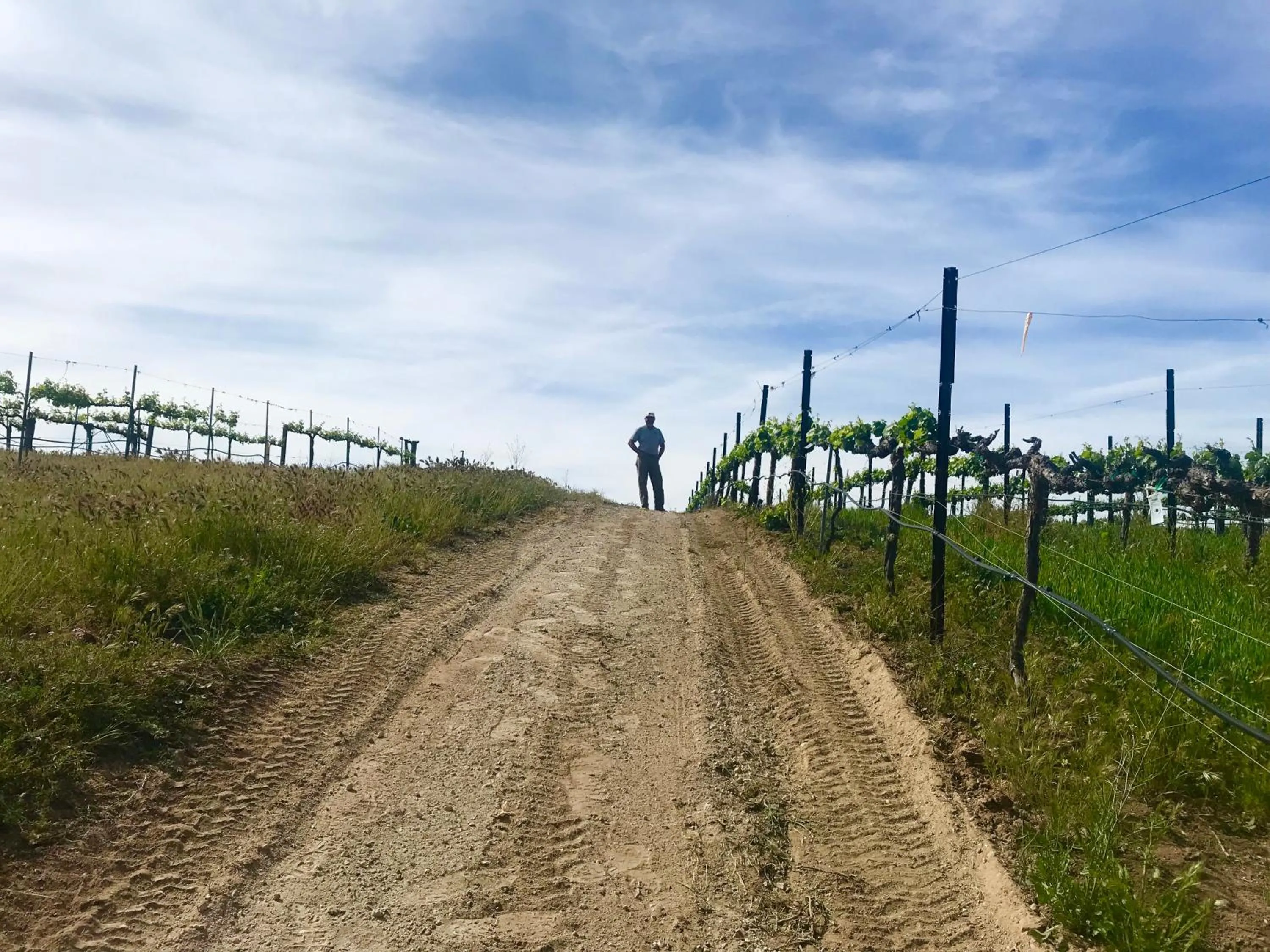 View (from property/room) in Domaine Chardonnay