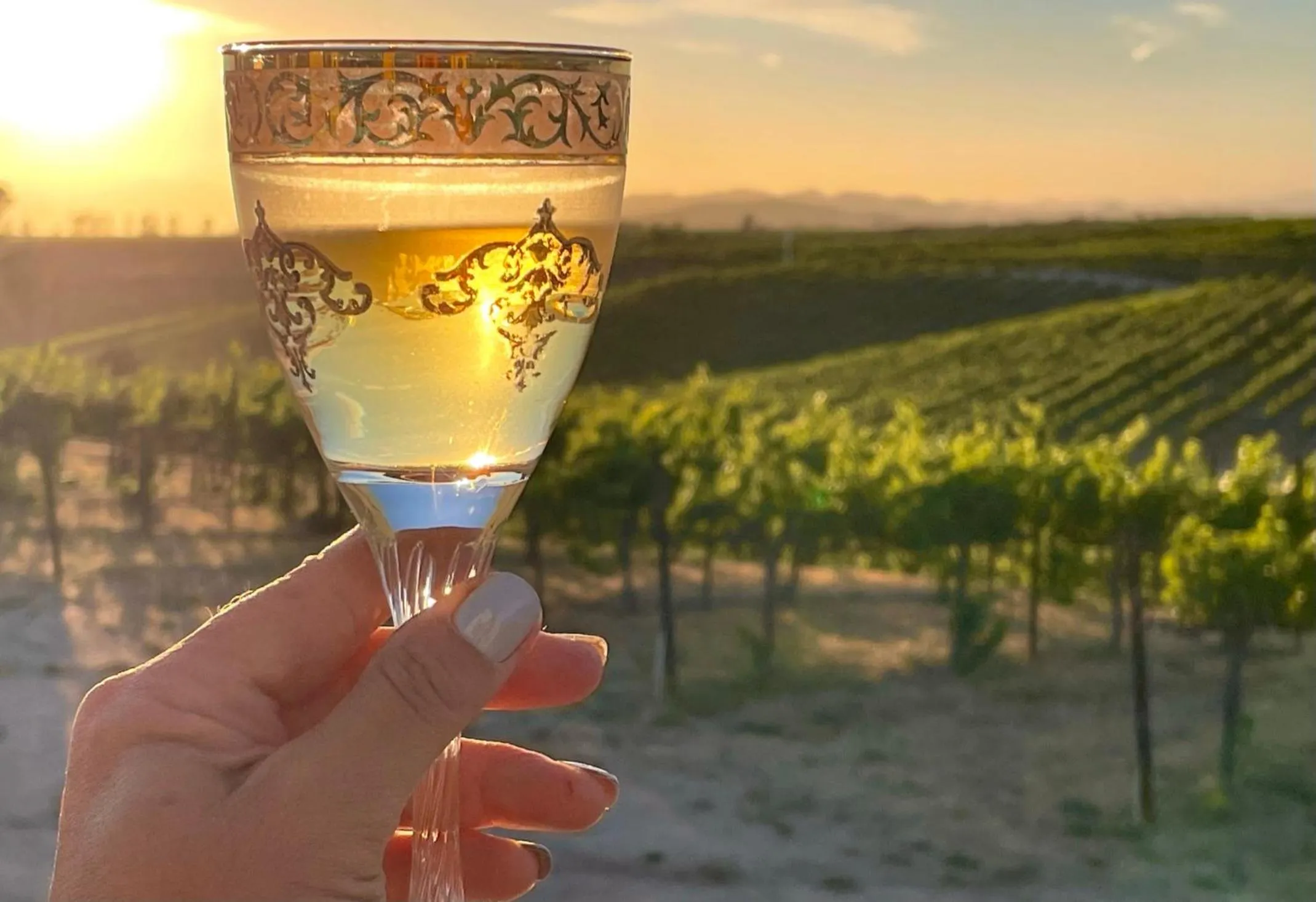 Alcoholic drinks in Domaine Chardonnay