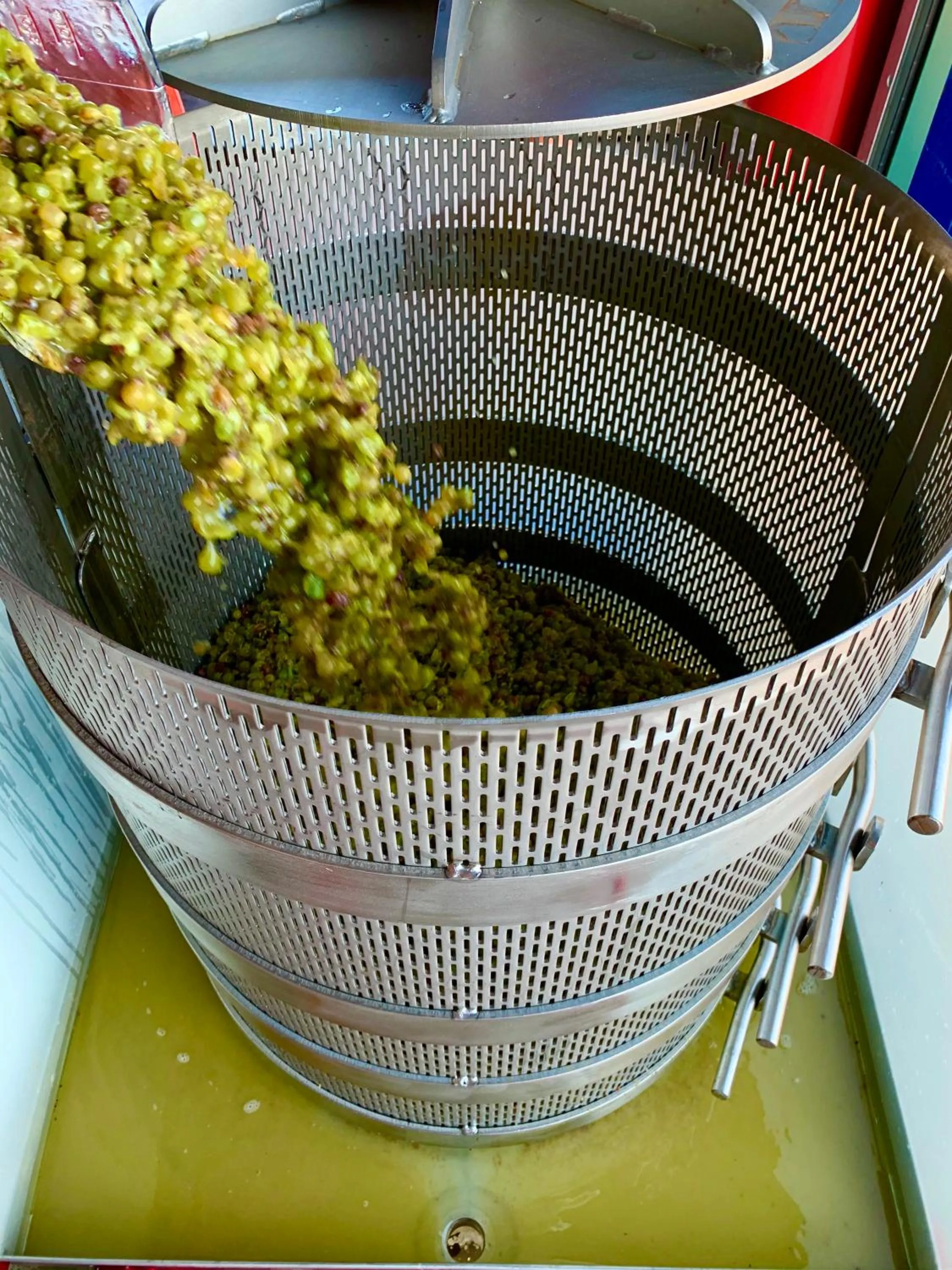 Food and drinks in Domaine Chardonnay