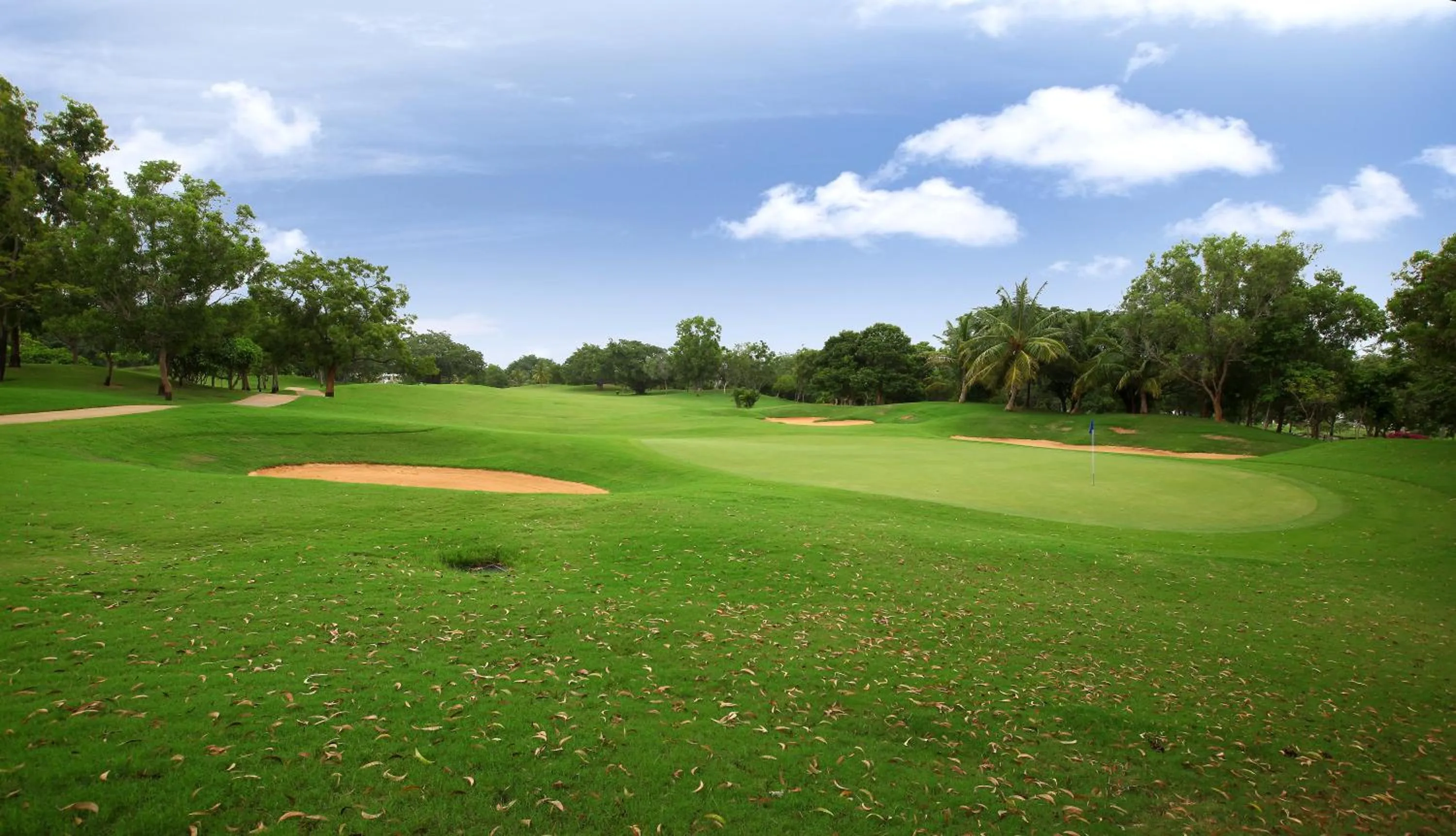 Golfcourse in Eagleton The Golf Resort