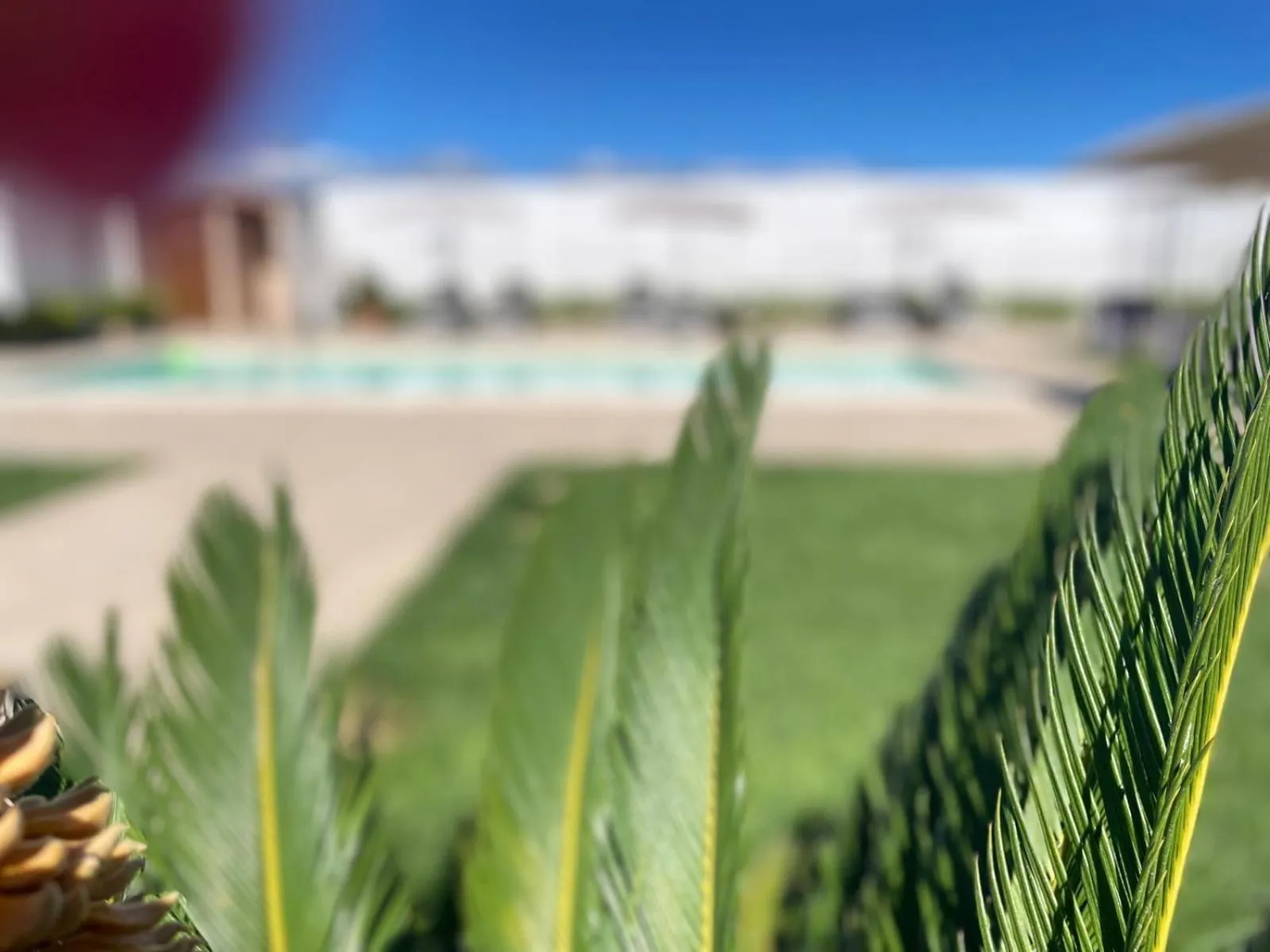 Agriturismo ALBACHIARA