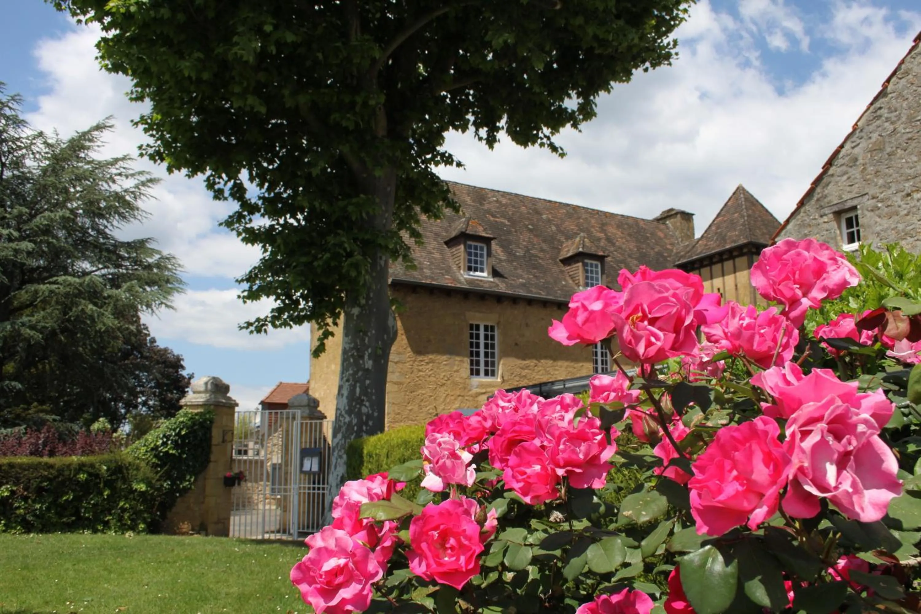 Garden in Hôtel La Hoirie