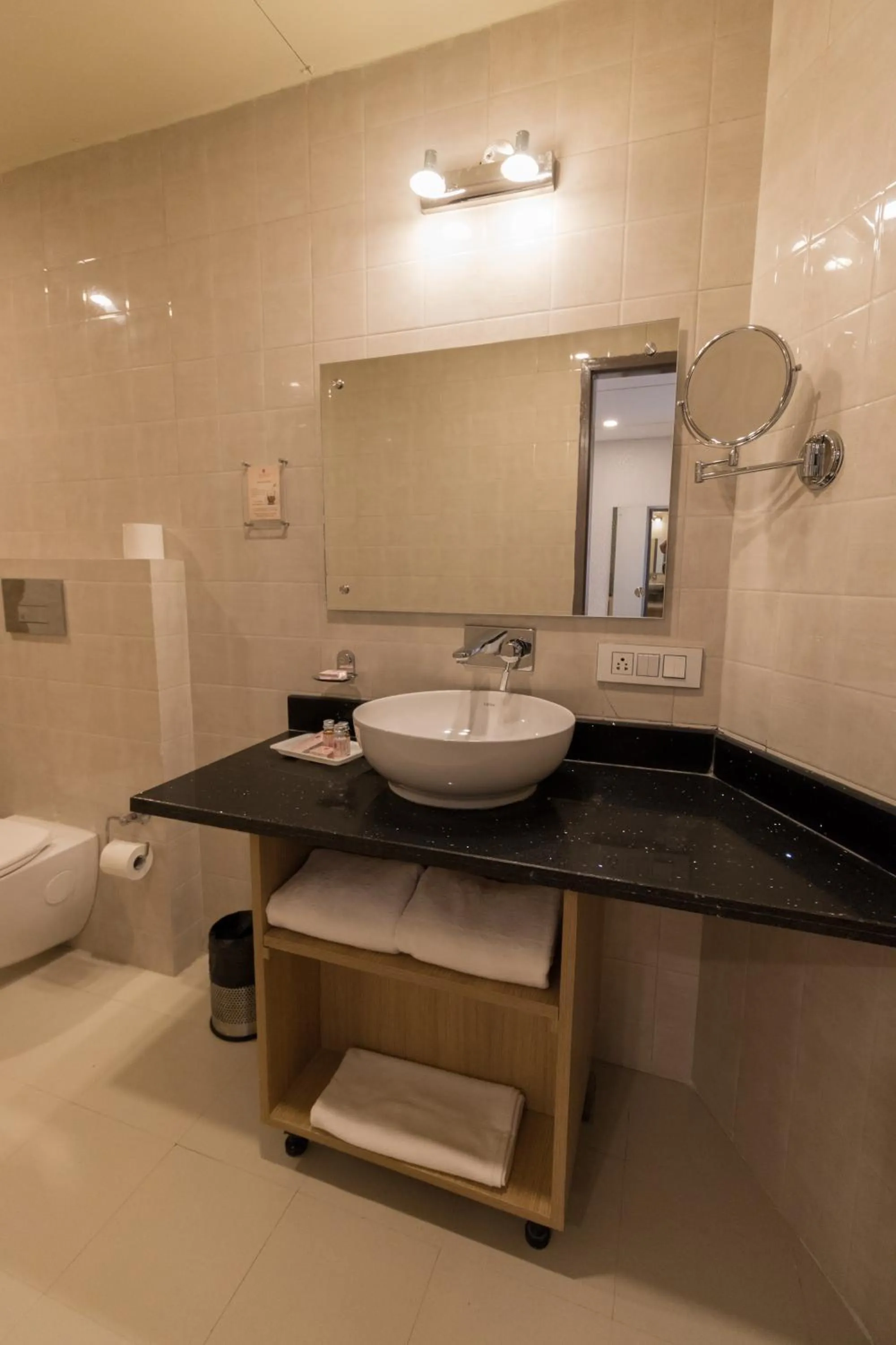 Bathroom in The Solitaire Express