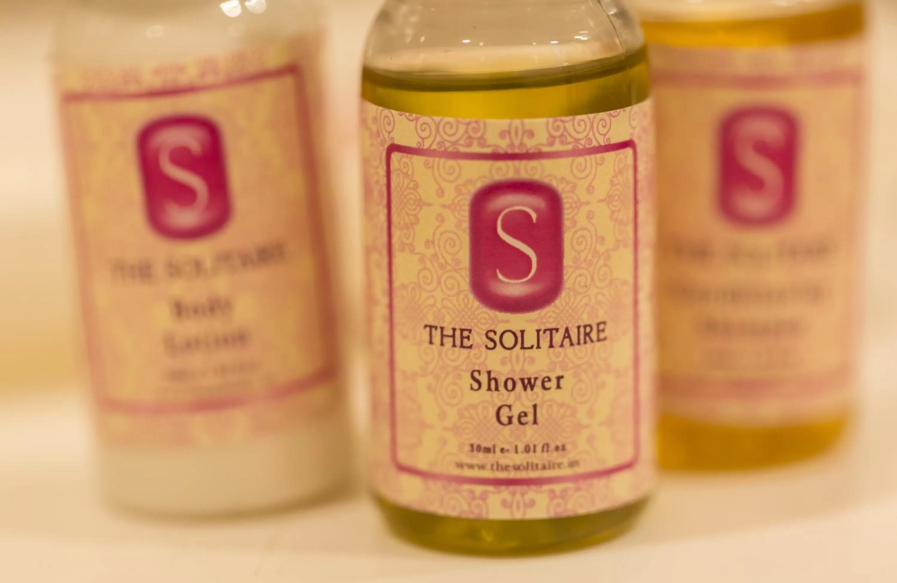 Bathroom in The Solitaire Express