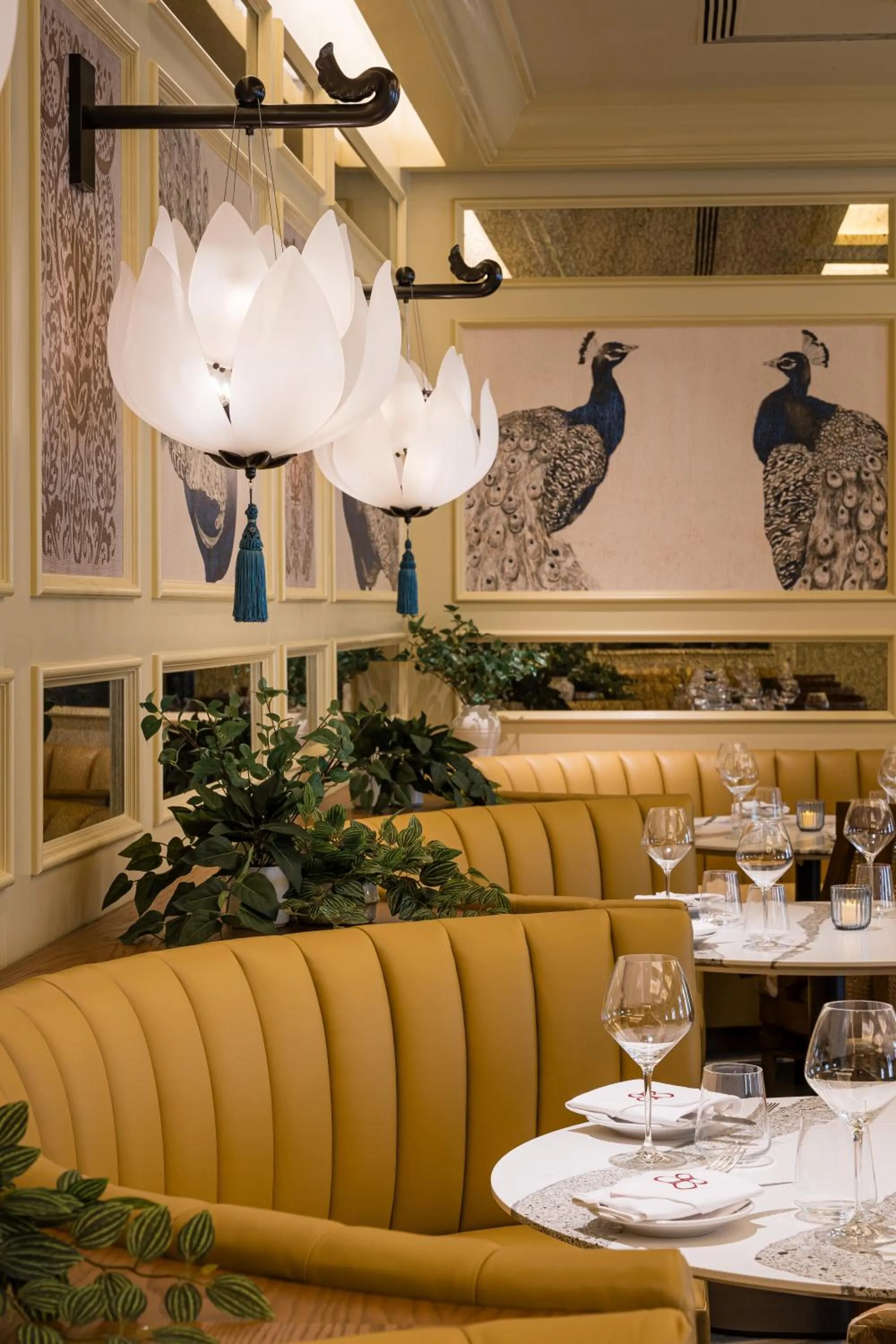 Restaurant/places to eat in Taj Campton Place