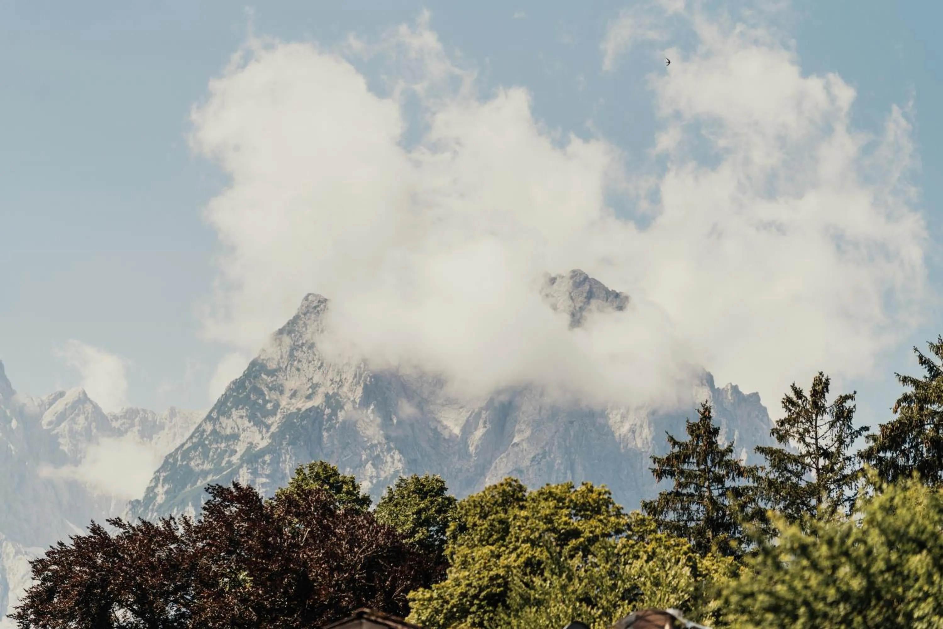 View (from property/room) in Staudacherhof in Garmisch-Partenkirchen I Blick aufs Zugspitzmassiv I einzigartige Bayurvida Küche