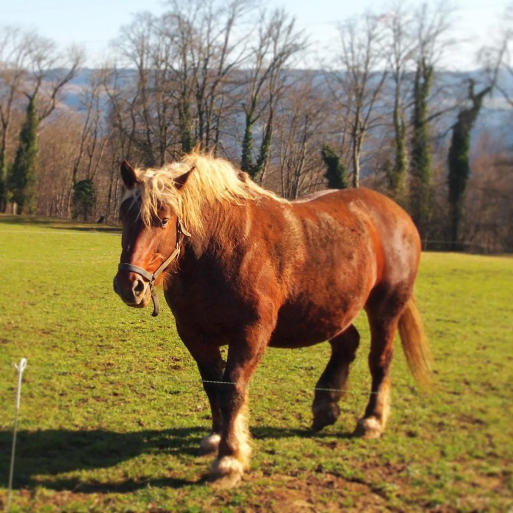 Hiking in Hôtel D’Artiste