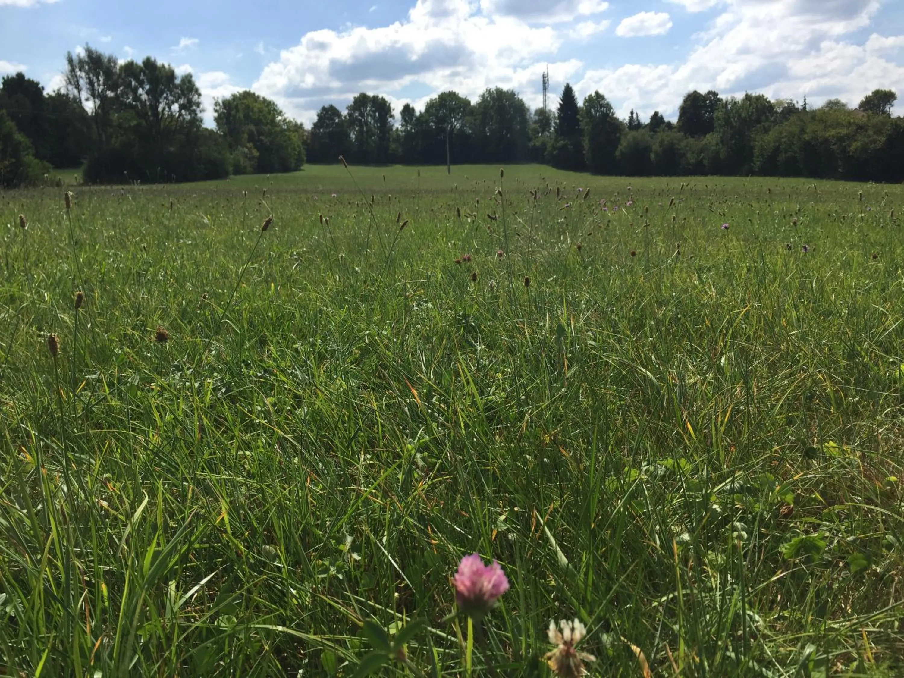 Natural landscape in Hôtel D’Artiste