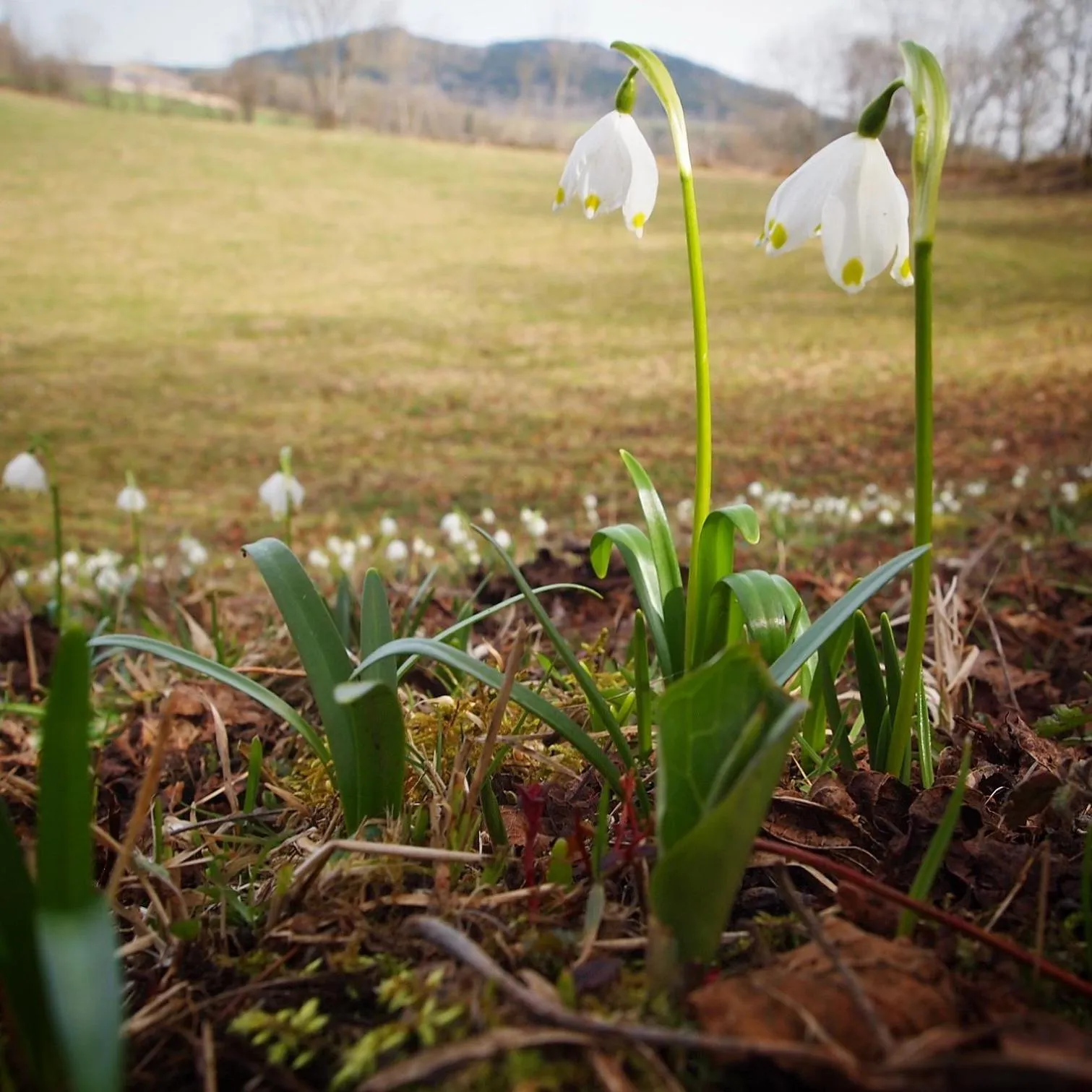Hiking in Hôtel D’Artiste
