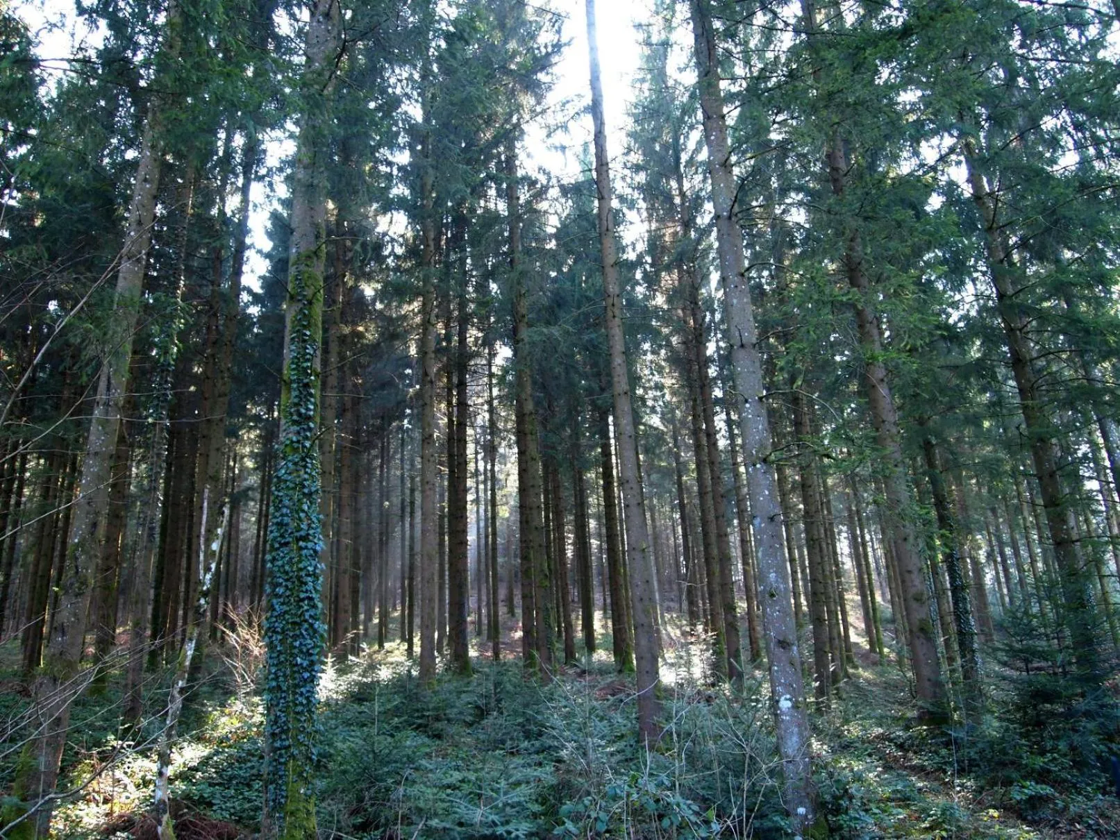 Hiking in Hôtel D’Artiste