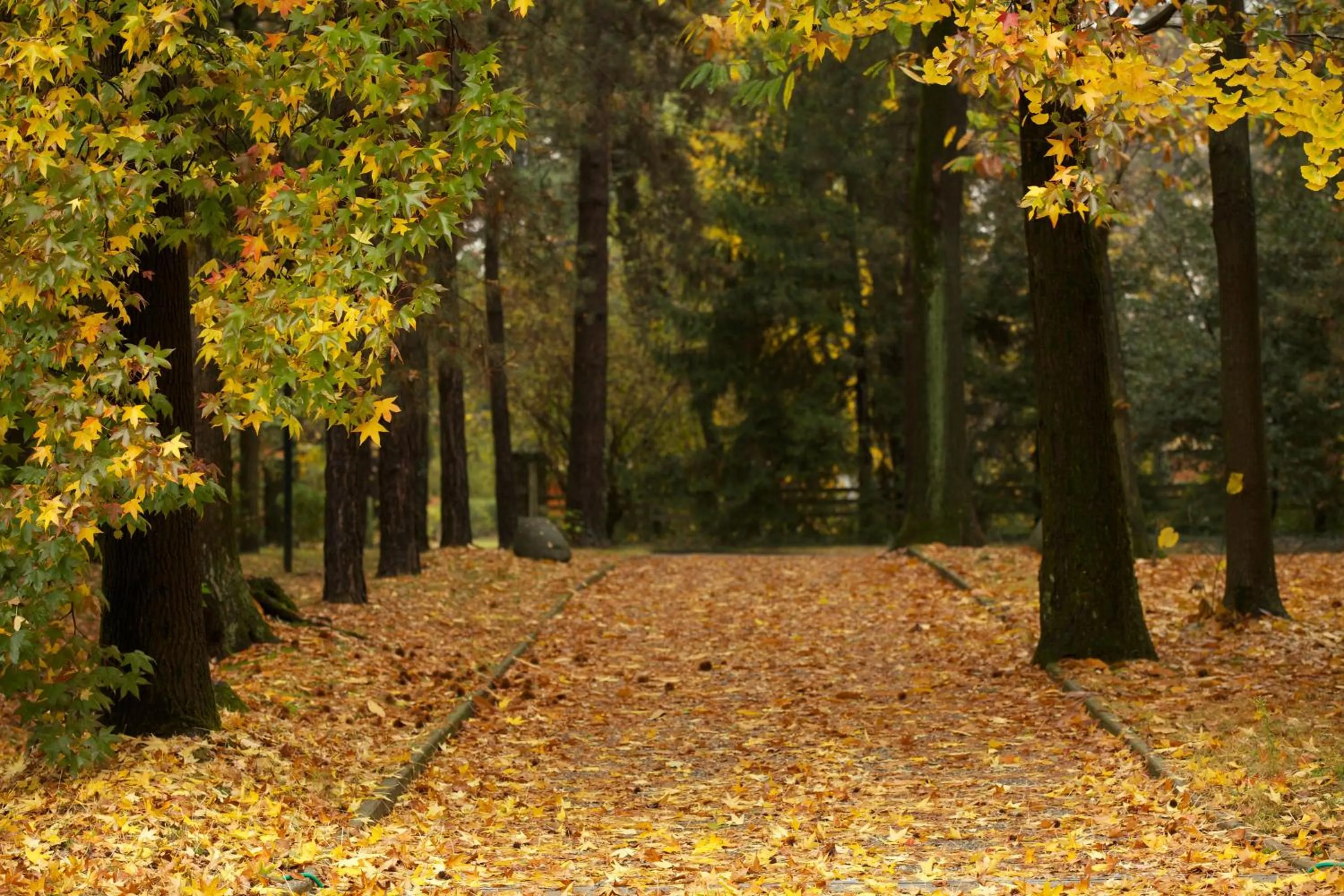 Property building in Sant'Anna