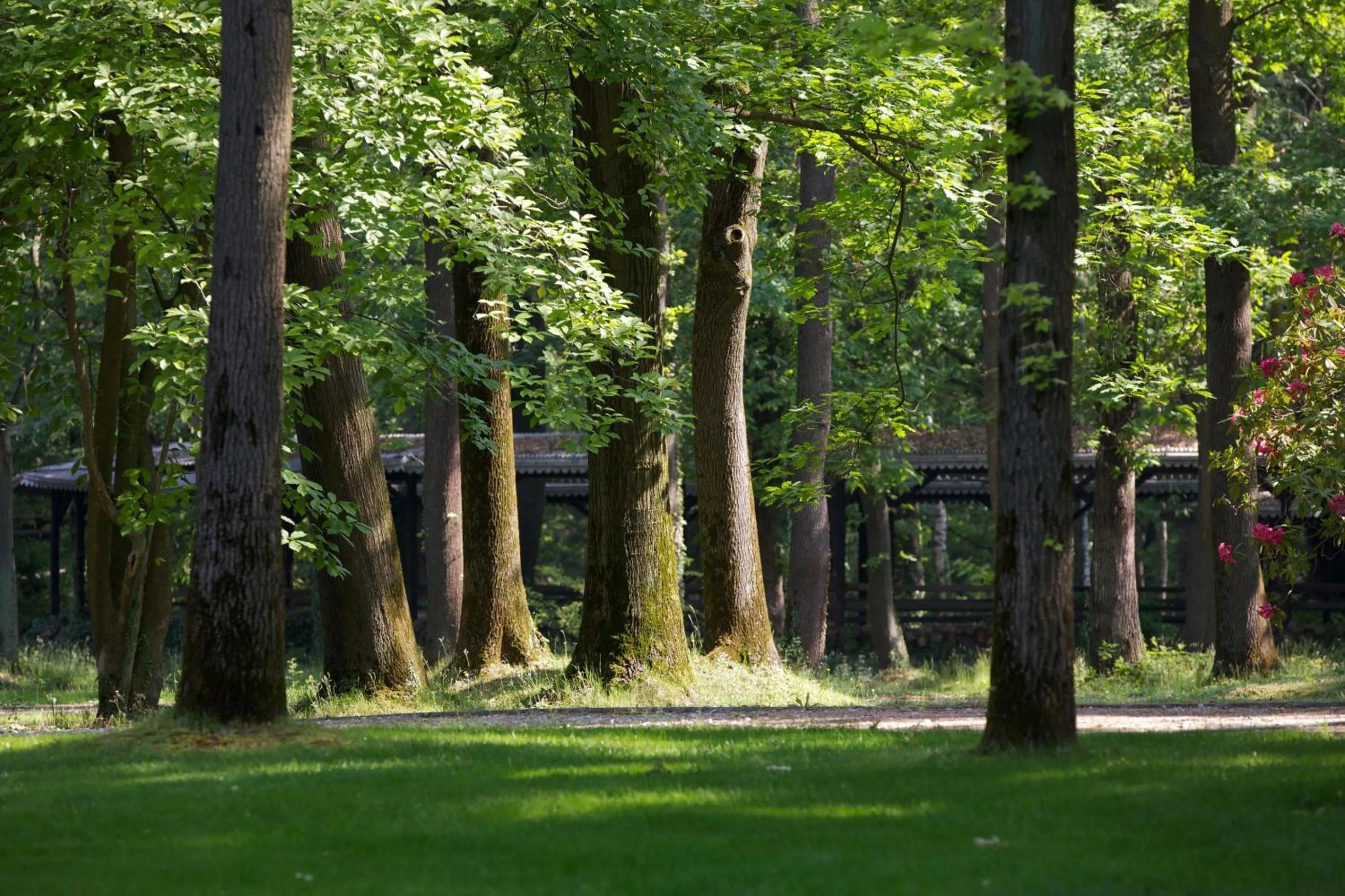 Garden view in Sant'Anna