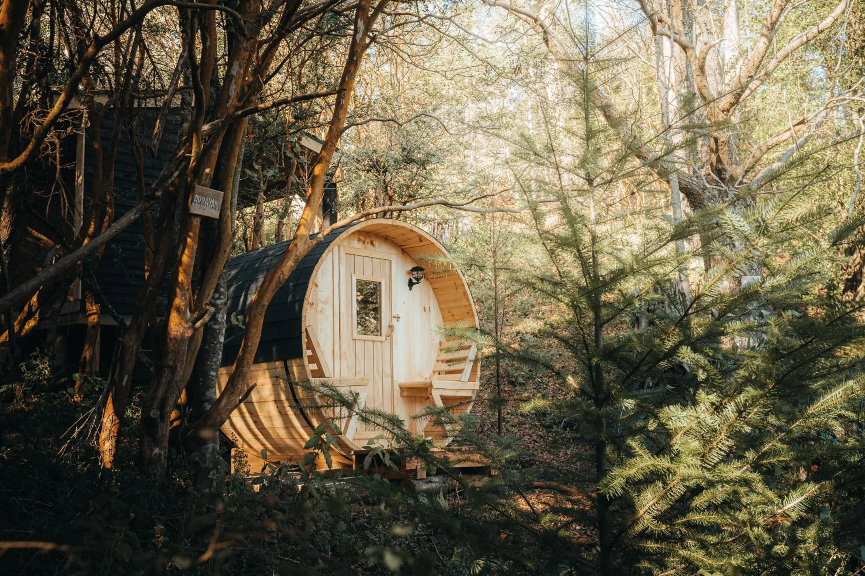 Sauna in NI-NEWEN Hotel & Lodge