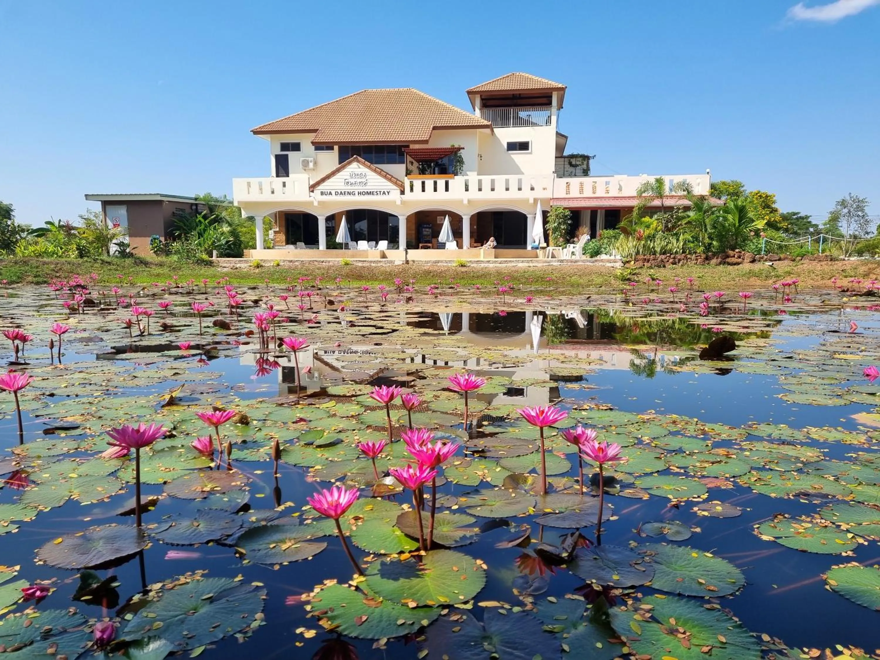 Property building in Bua Daeng Homestay Resort