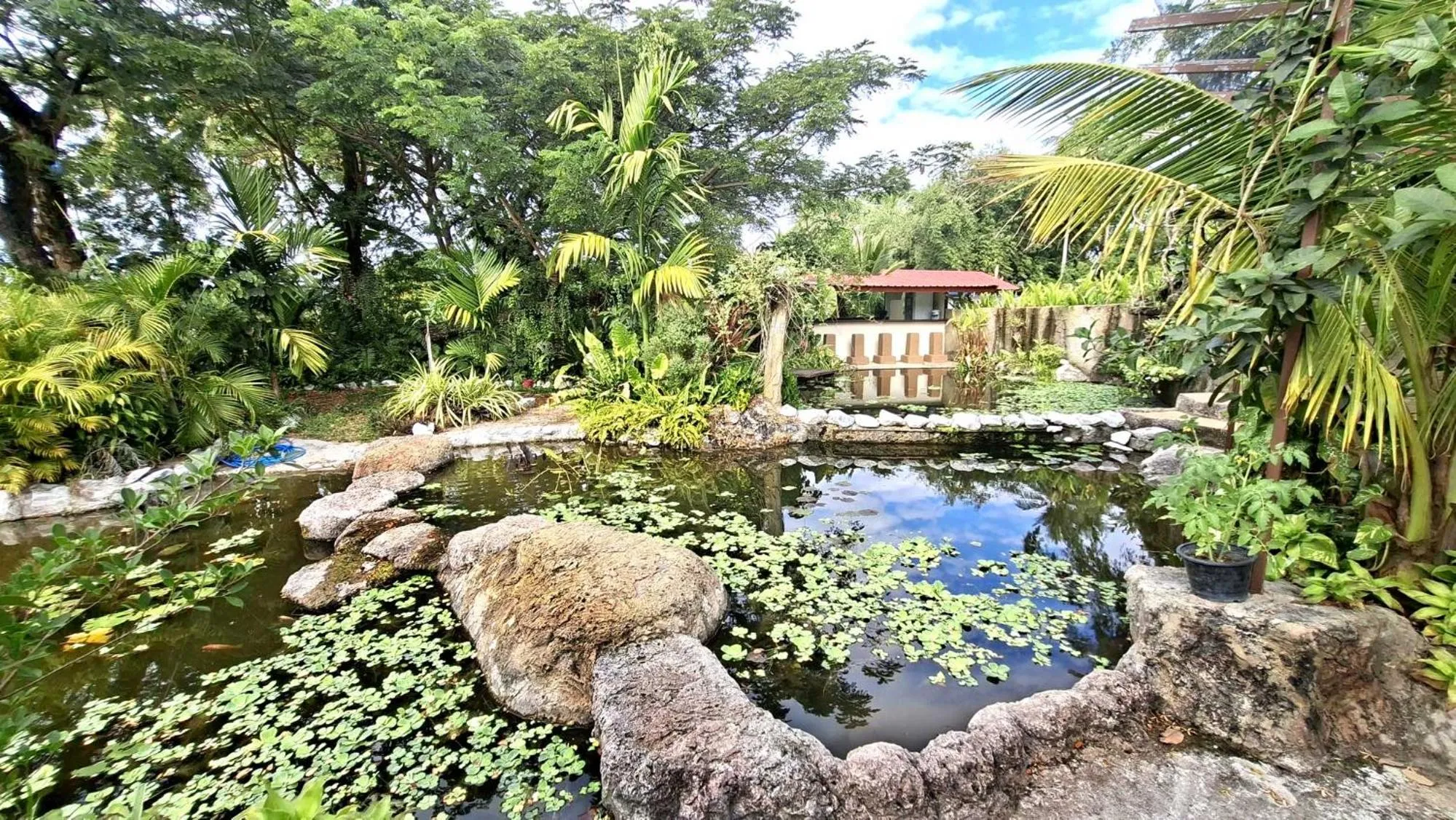 Garden in Bua Daeng Homestay Resort