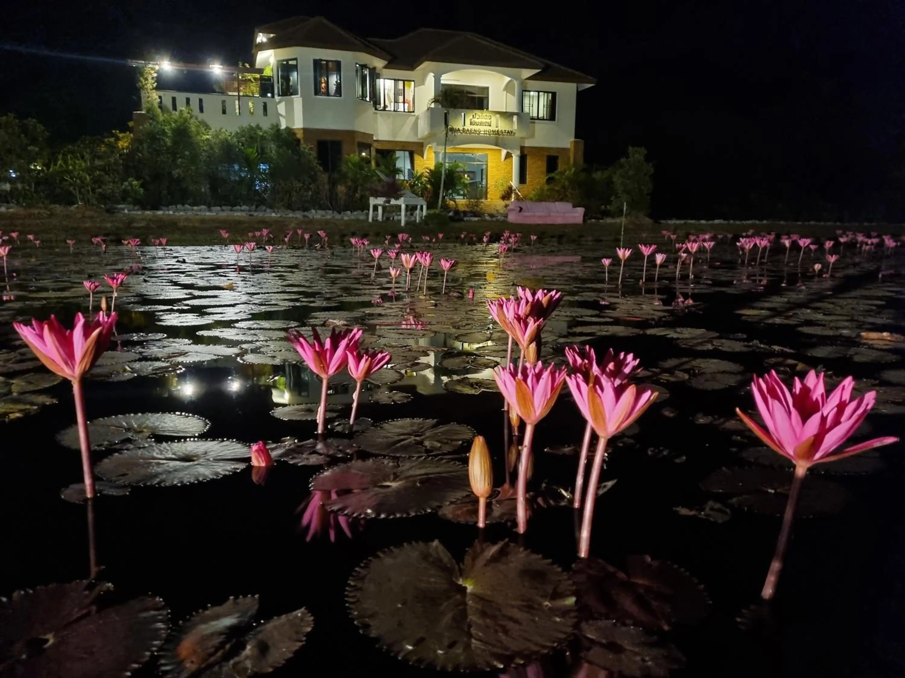 Property building in Bua Daeng Homestay Resort