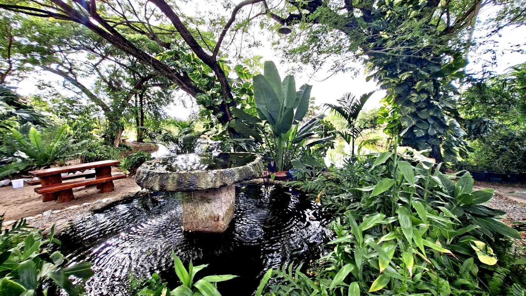 Garden in Bua Daeng Homestay Resort