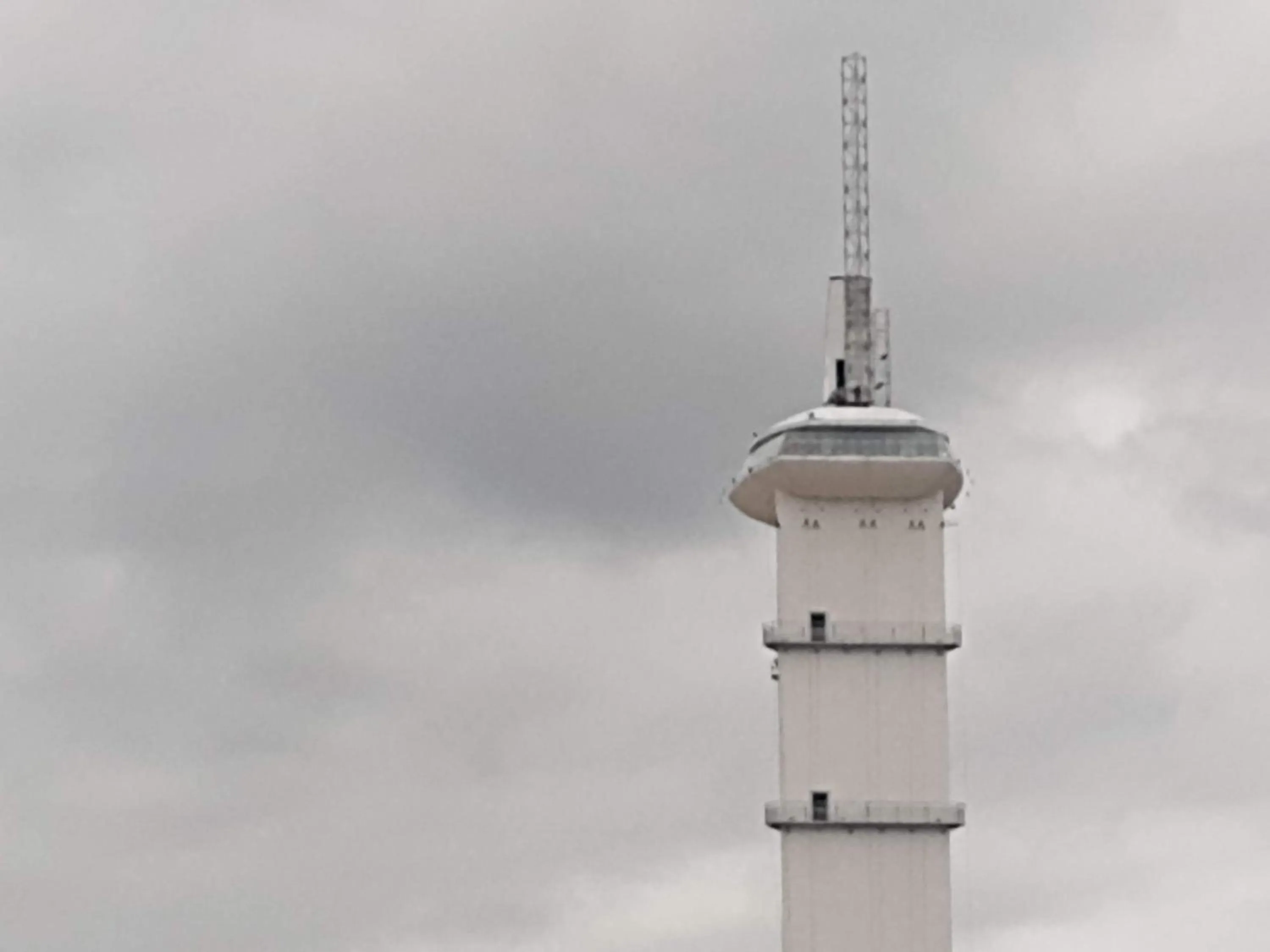 Hotel Jardim Tropical