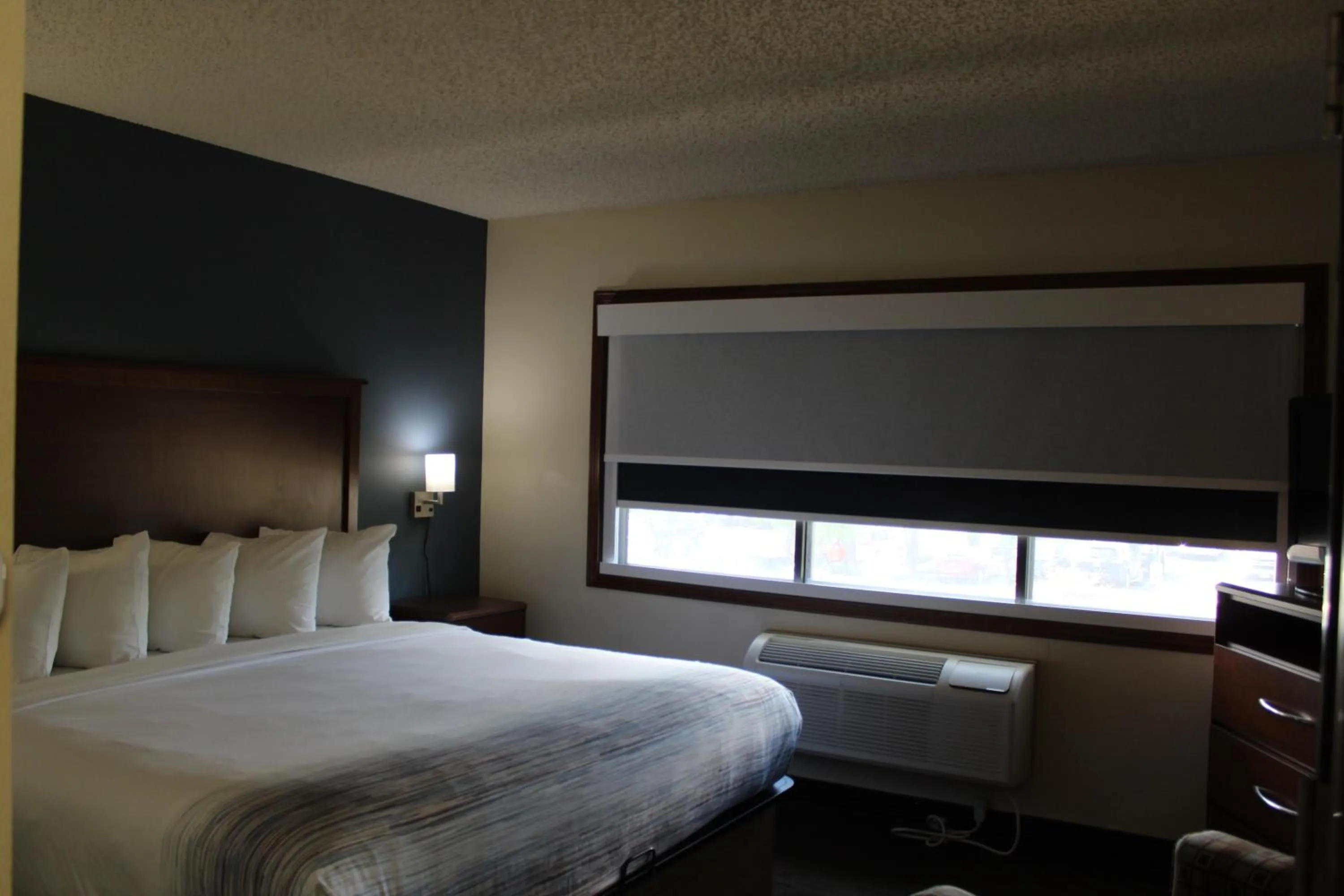 Bed in AmericInn by Wyndham Windsor Ft. Collins