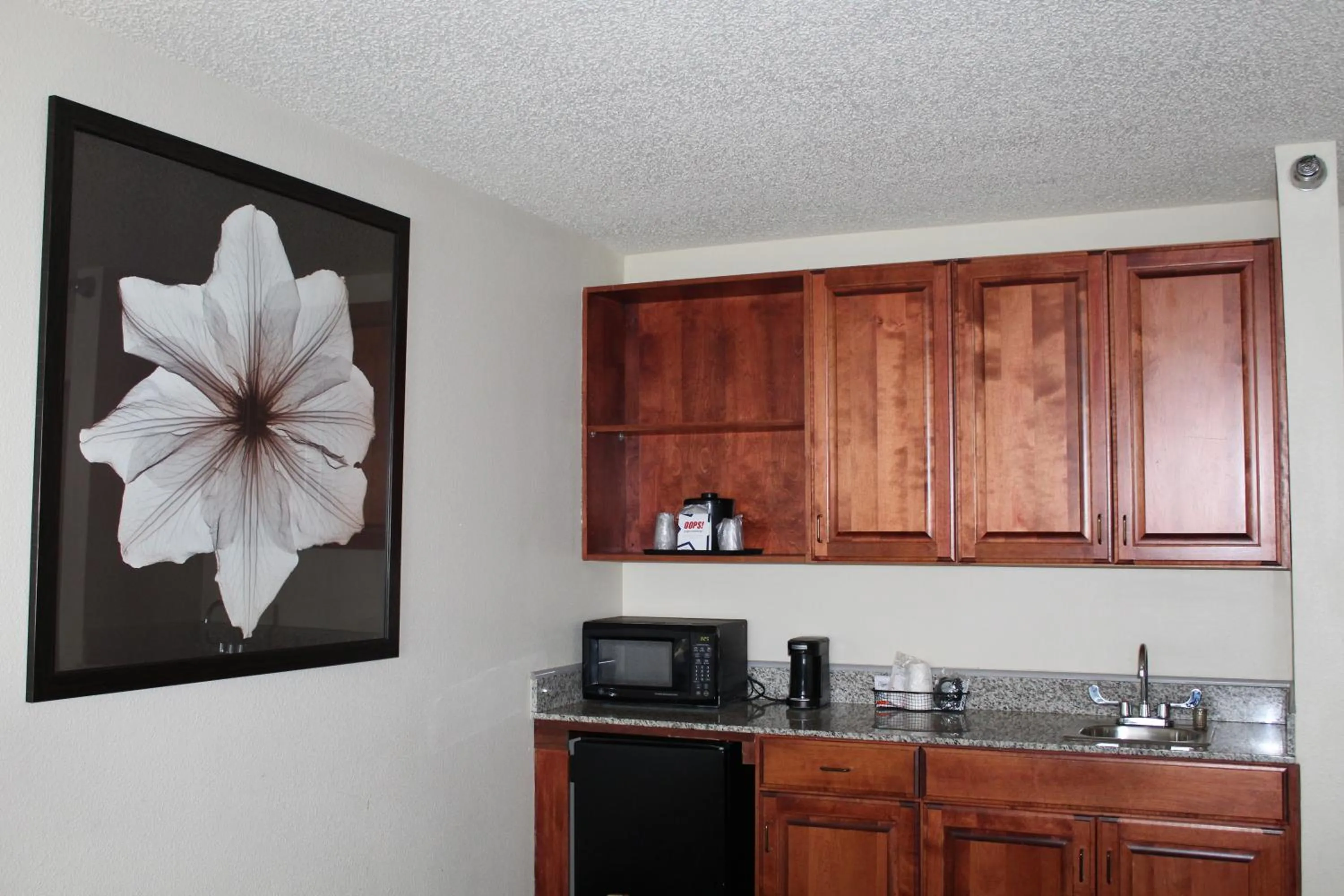 Coffee/tea facilities in AmericInn by Wyndham Windsor Ft. Collins