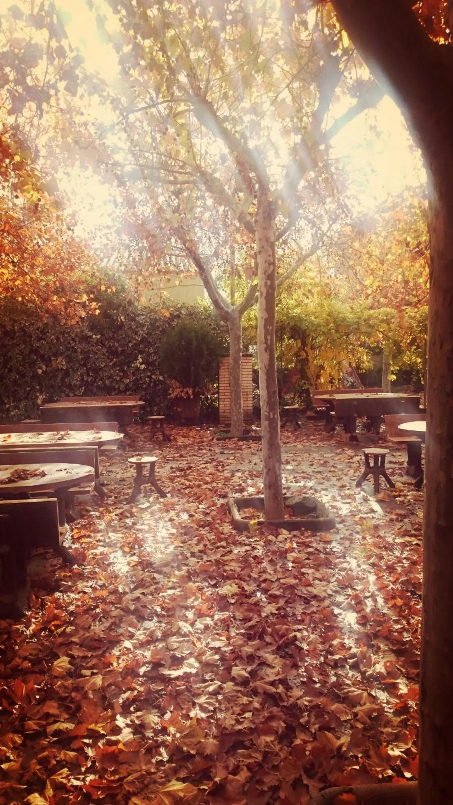 Aparthotel Tres Caminos