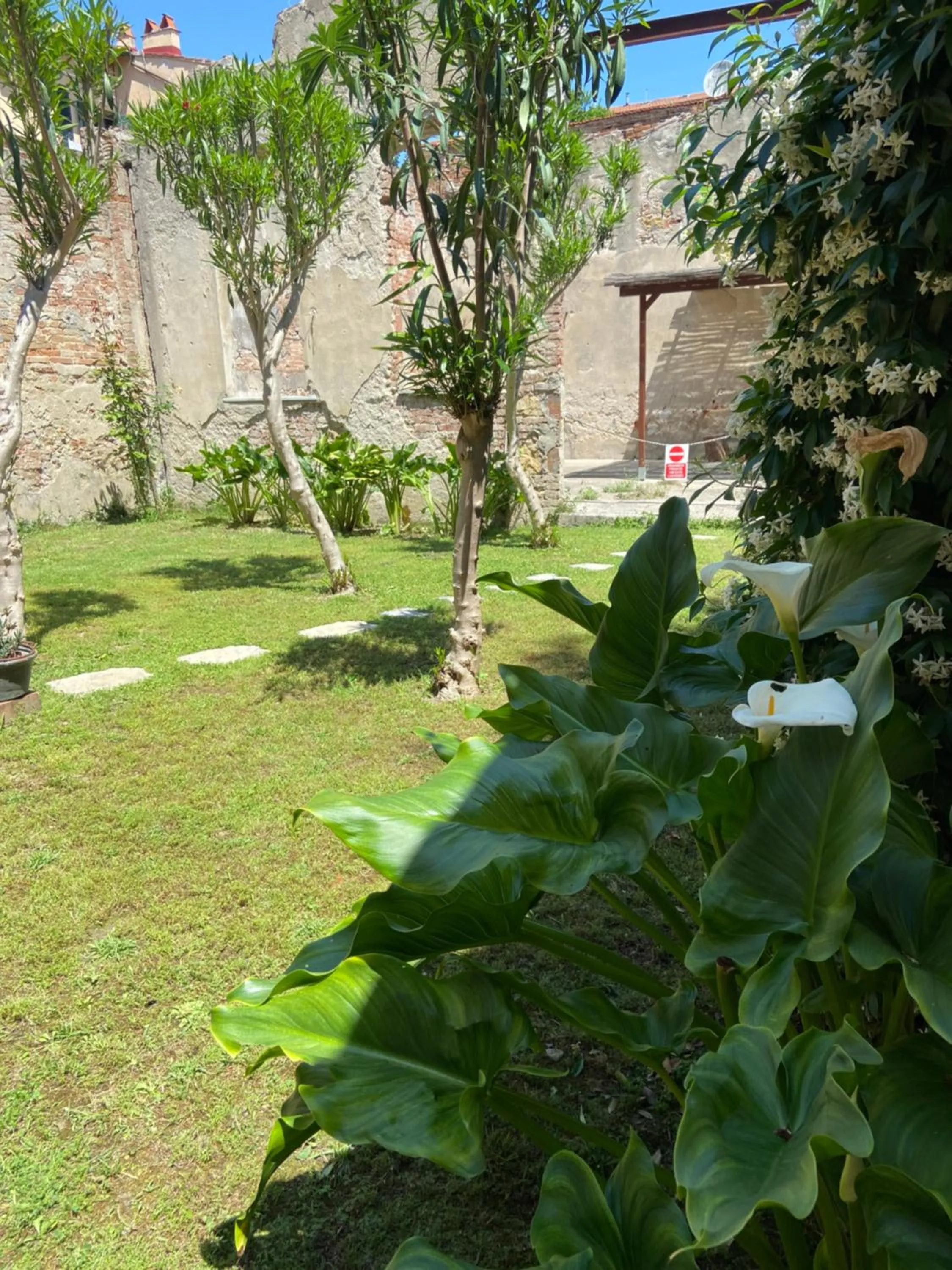 Garden in Victoria House B&B