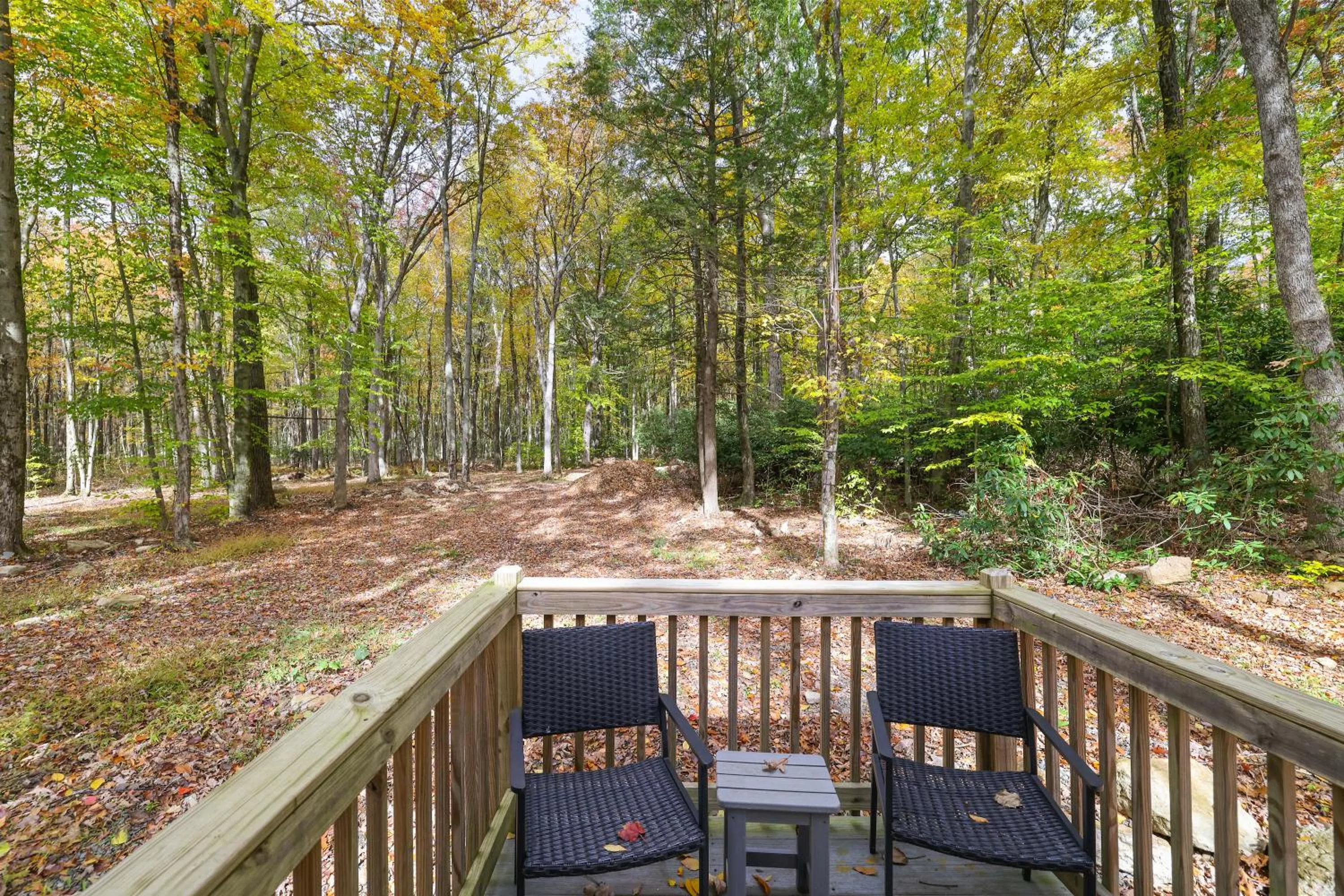 Natural landscape in Camptel Poconos