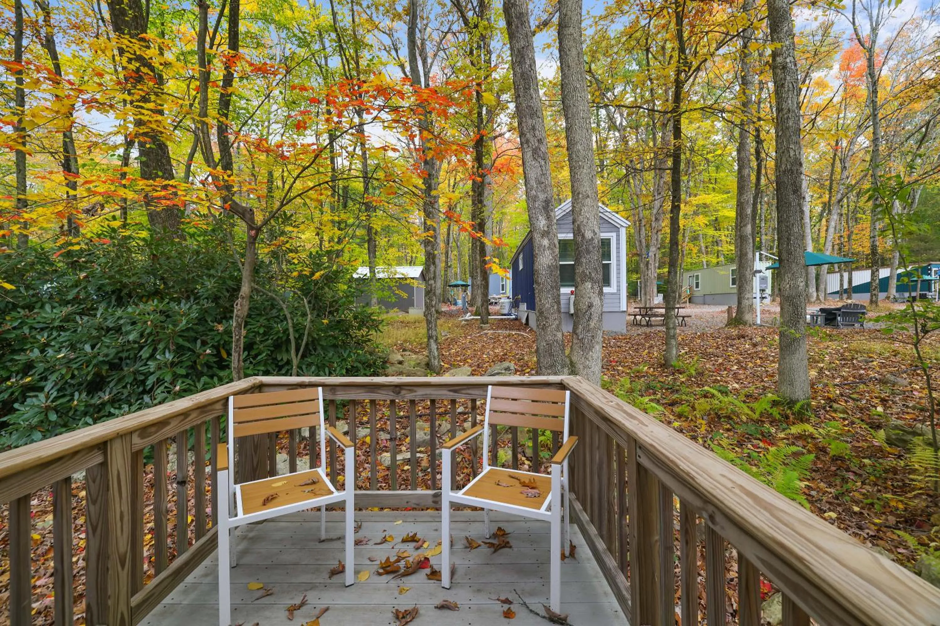 Natural landscape in Camptel Poconos