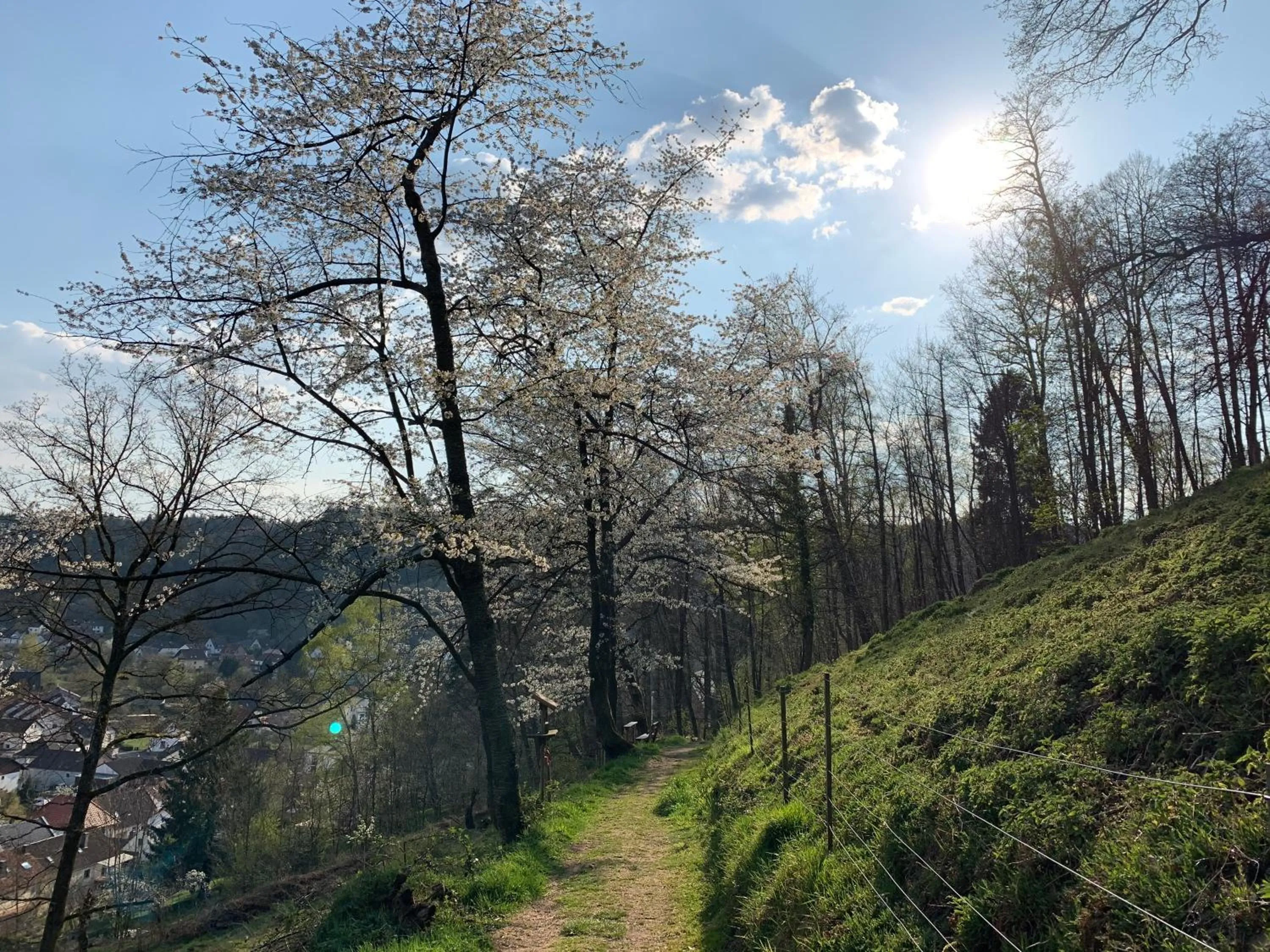 Hiking in Hotel & Restaurant Burgschänke