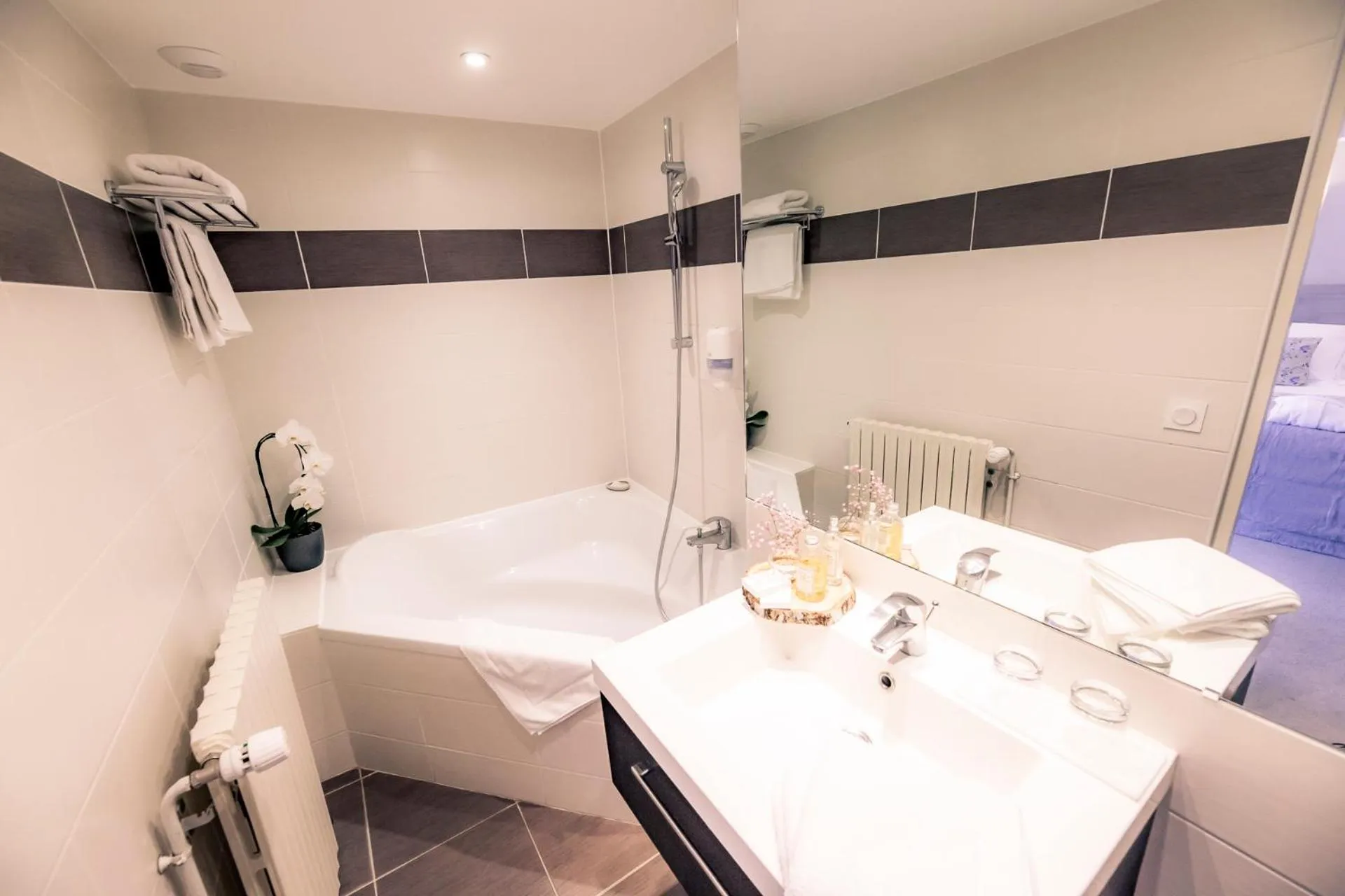 Bathroom in Hotel Le Lion D'Or et Restaurant La Table Du Lion