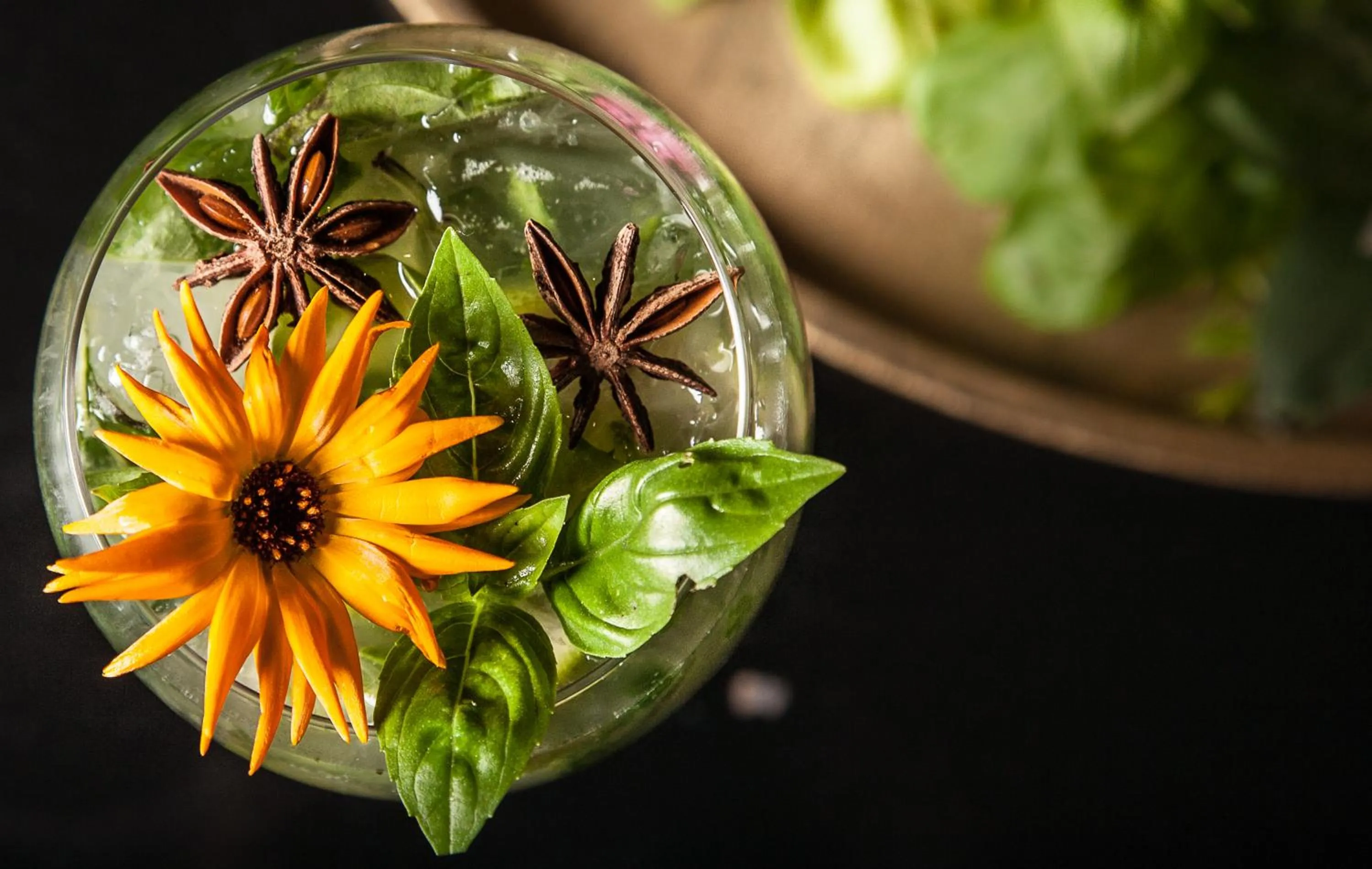 Drinks in Hotel Le Lion D'Or et Restaurant La Table Du Lion