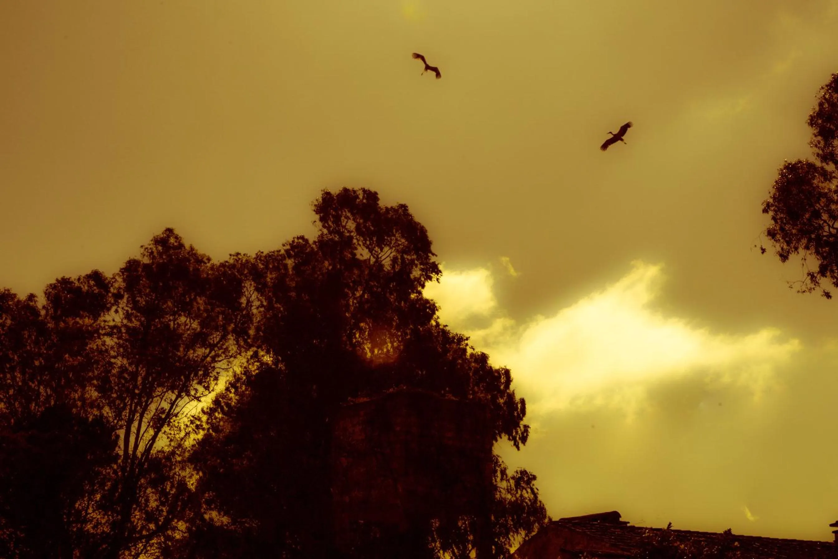 Natural landscape in Lodge Monte Do Sobral