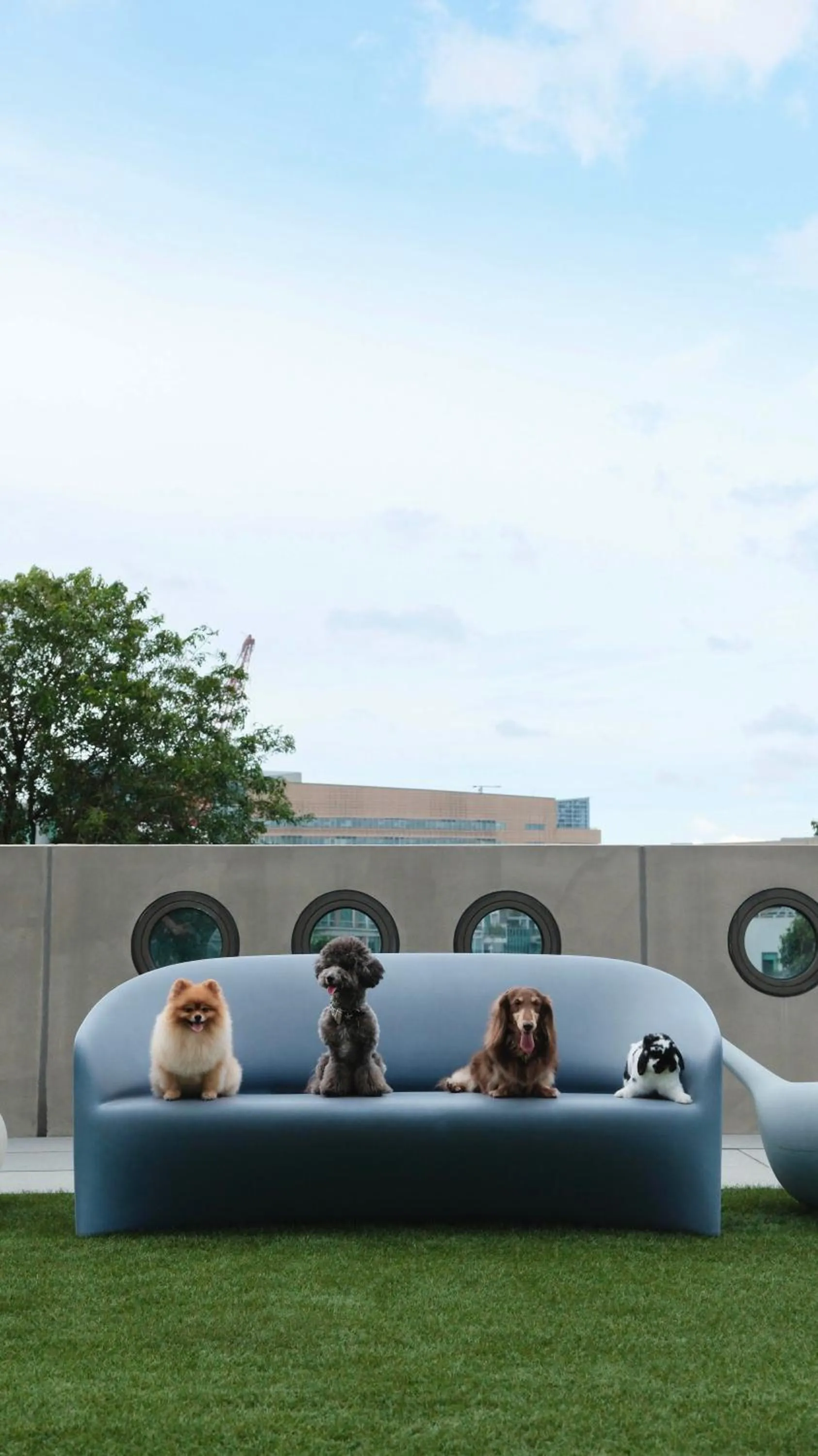 pet friendly in lyf one-north Singapore