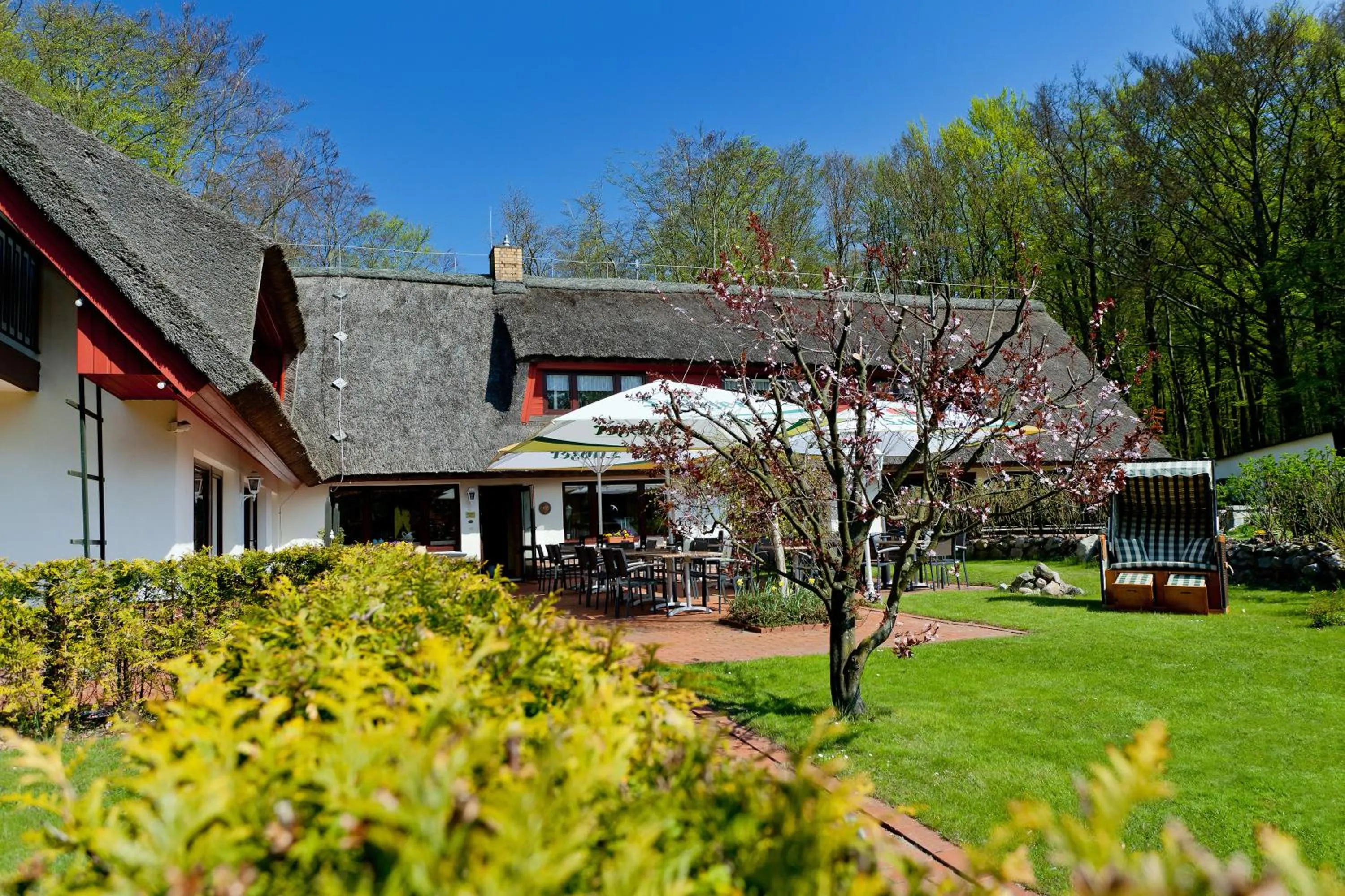 Facade/entrance in Restaurant & Hotel Baumhaus Hagen