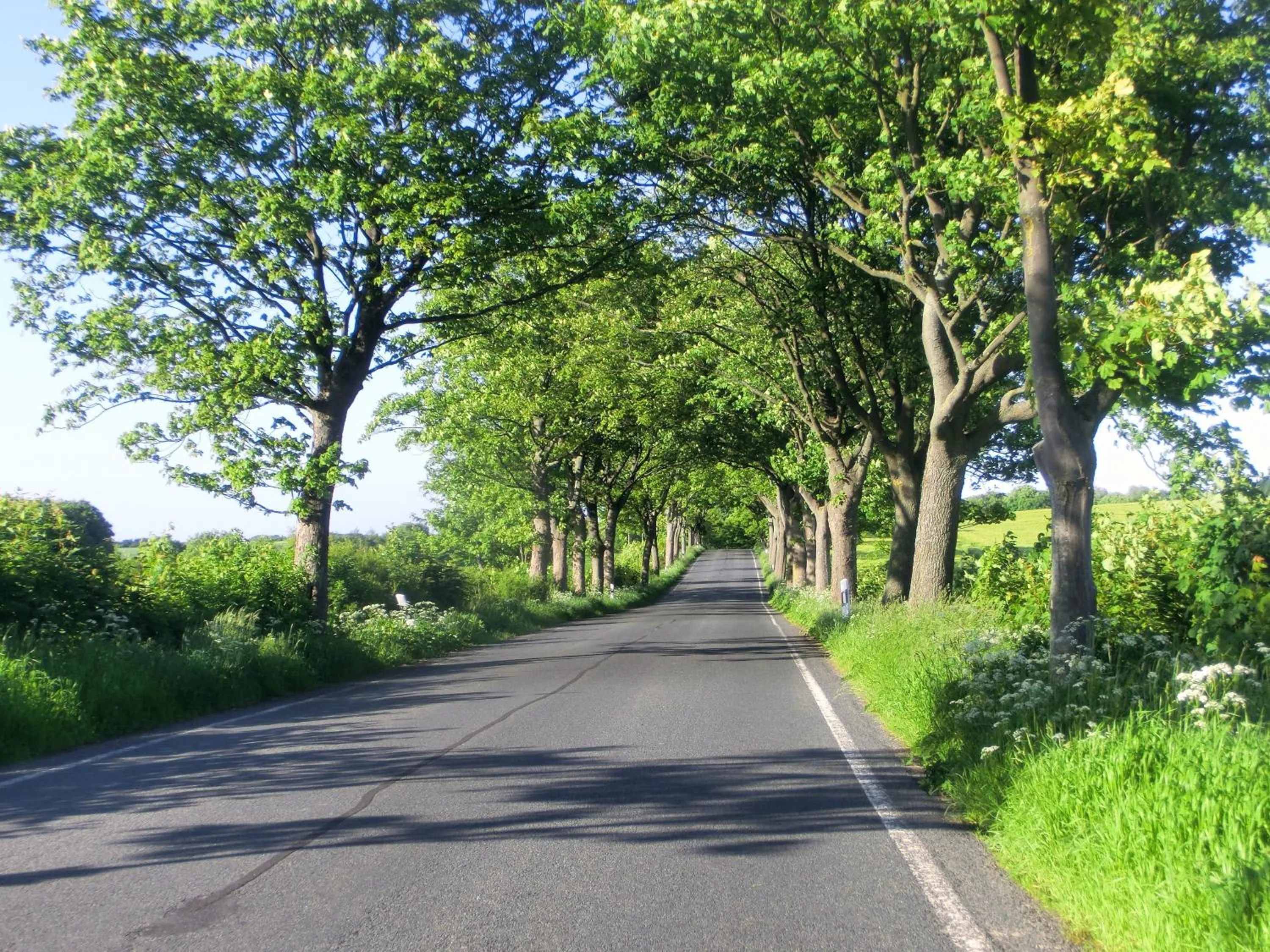 Area and facilities in Restaurant & Hotel Baumhaus Hagen