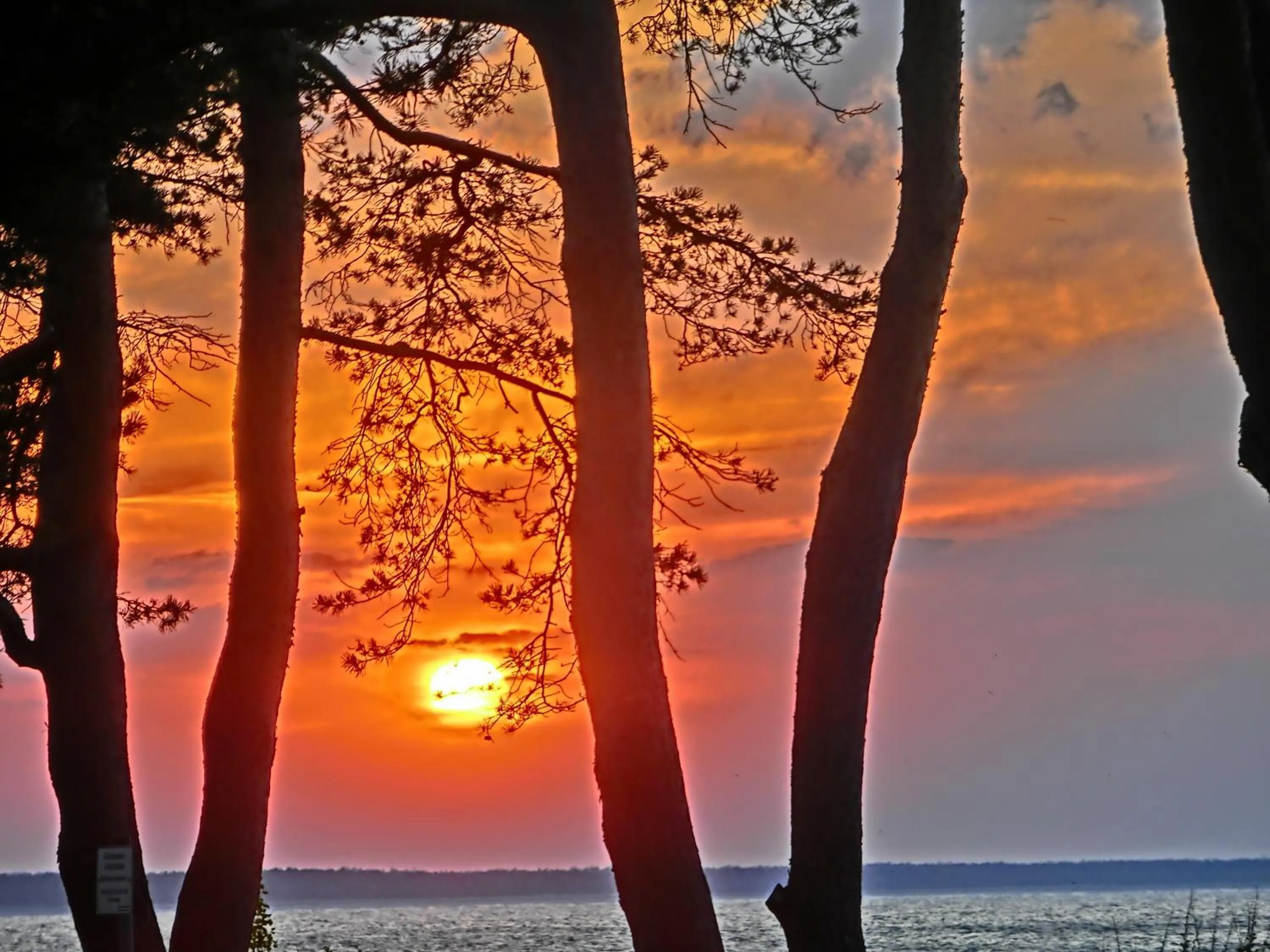 Area and facilities in Restaurant & Hotel Baumhaus Hagen