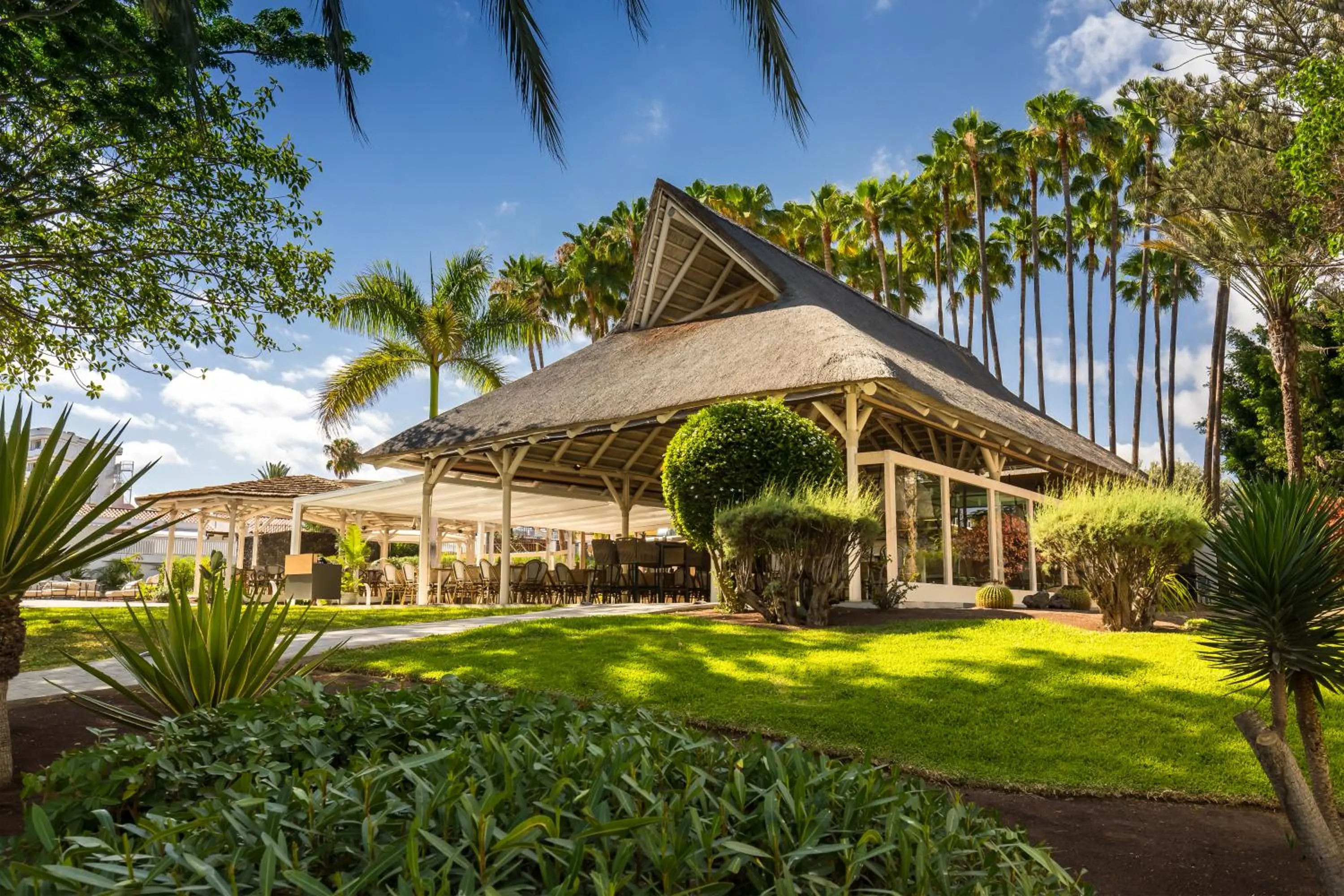 Restaurant/places to eat in Barceló Margaritas Royal Level Adults Only