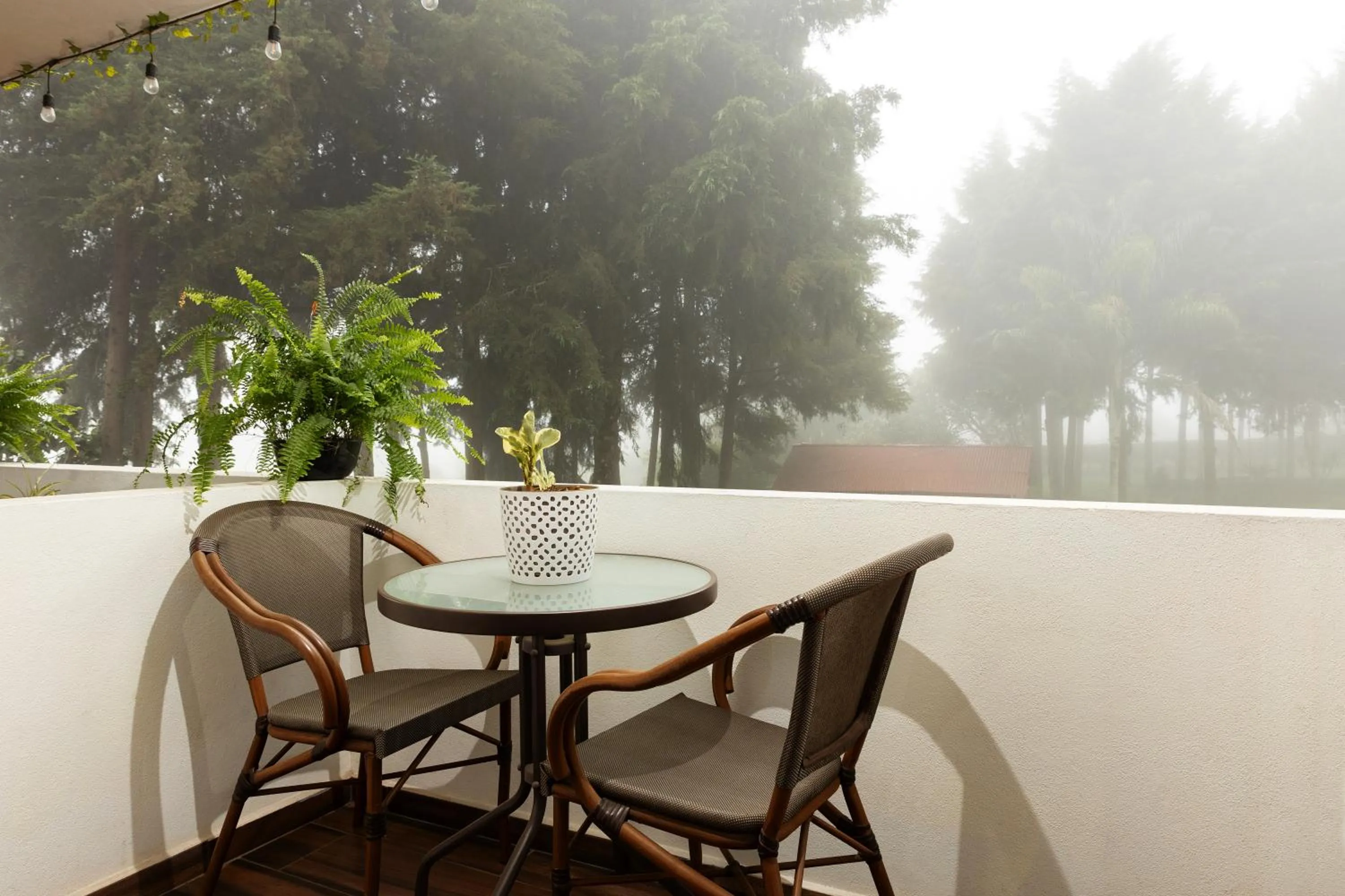 Cabañas Sierra Verde