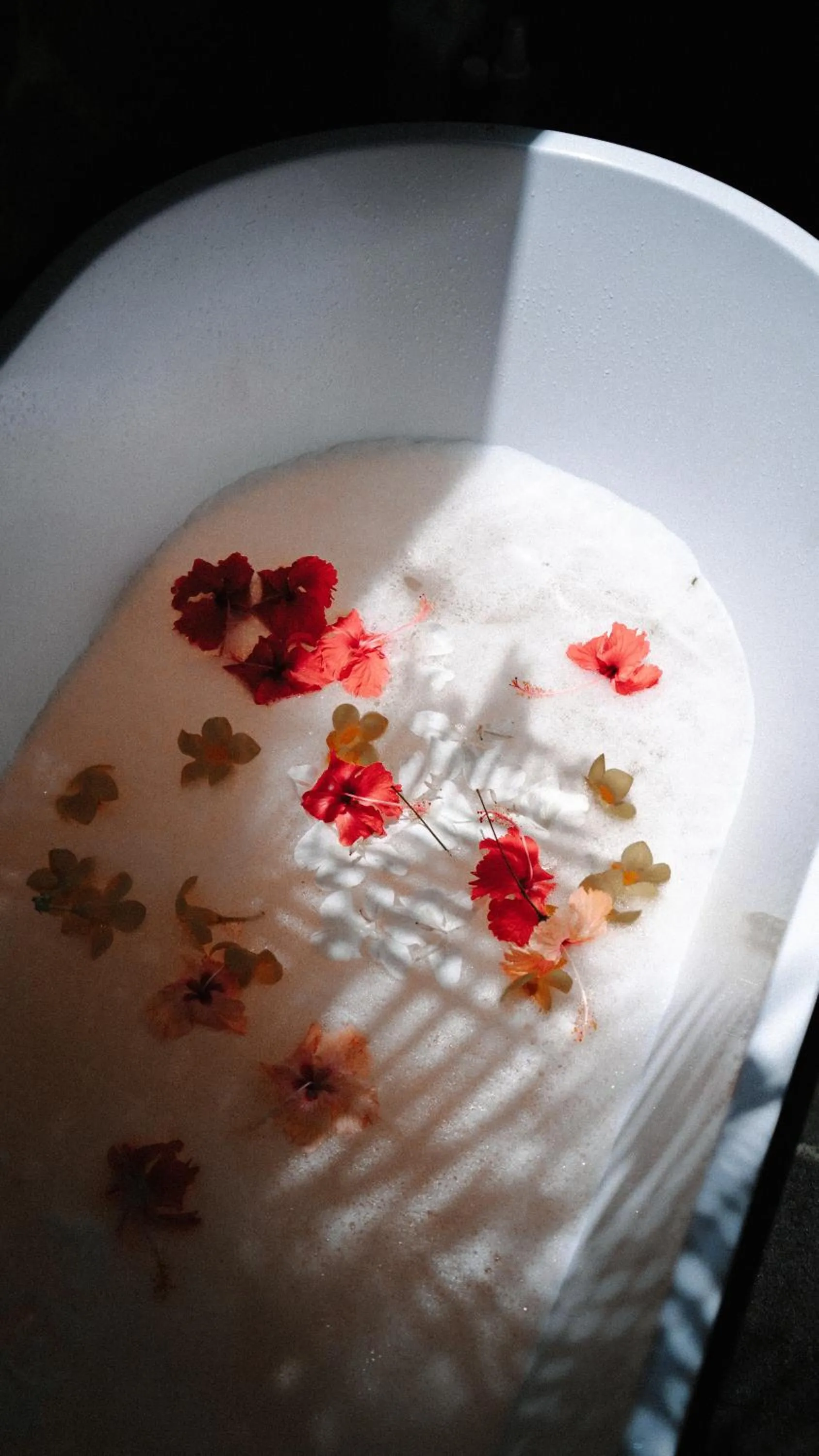 Spa and wellness centre/facilities in La Coralina Island House