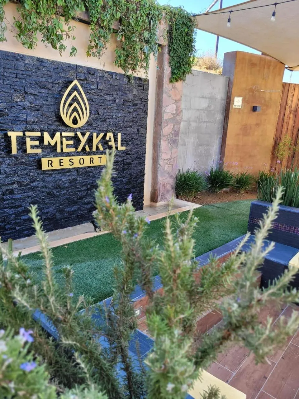 Garden in TEMEXKAL RESORT