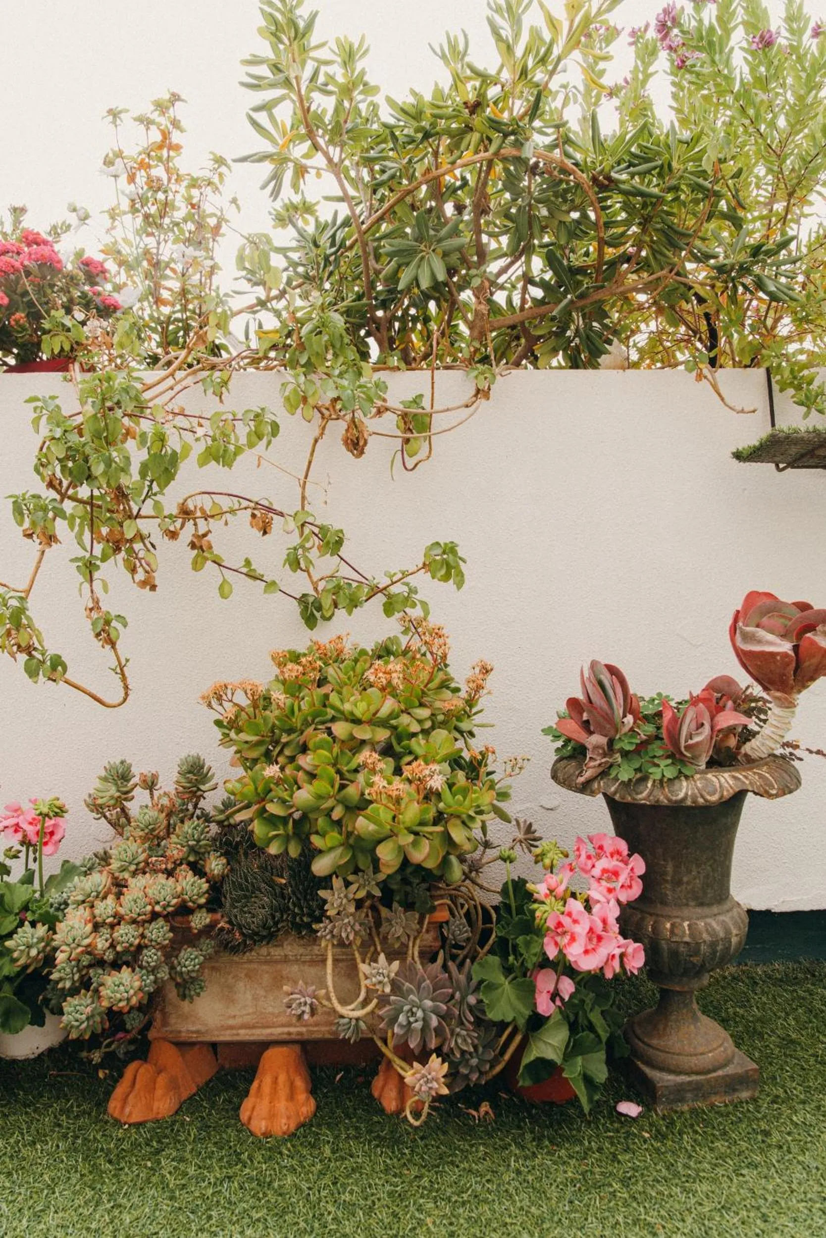 Garden view in La Petite Maison