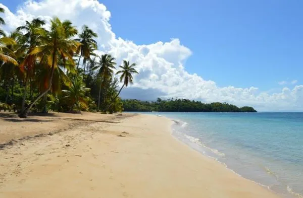 Beach in Hotel Residence Marilar