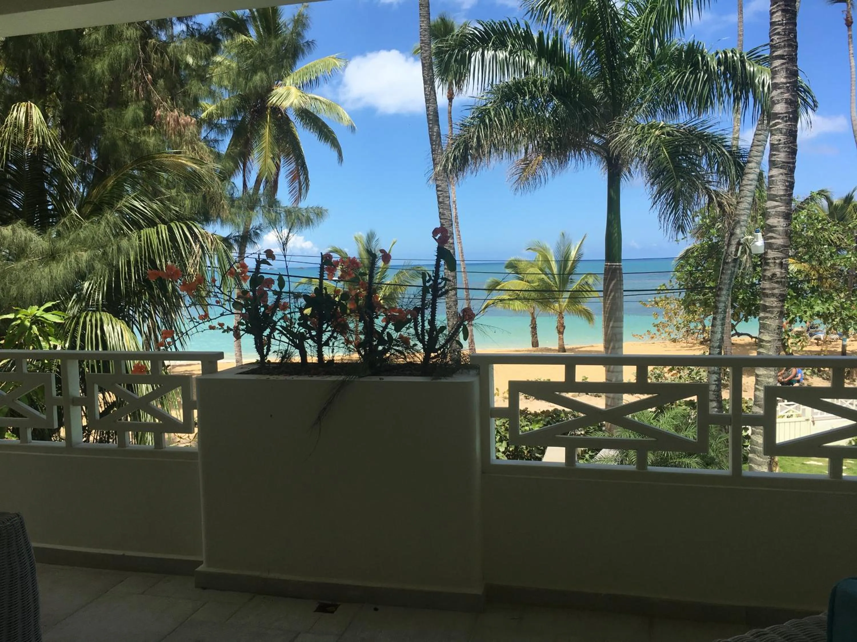 Sea view in Hotel Residence Marilar