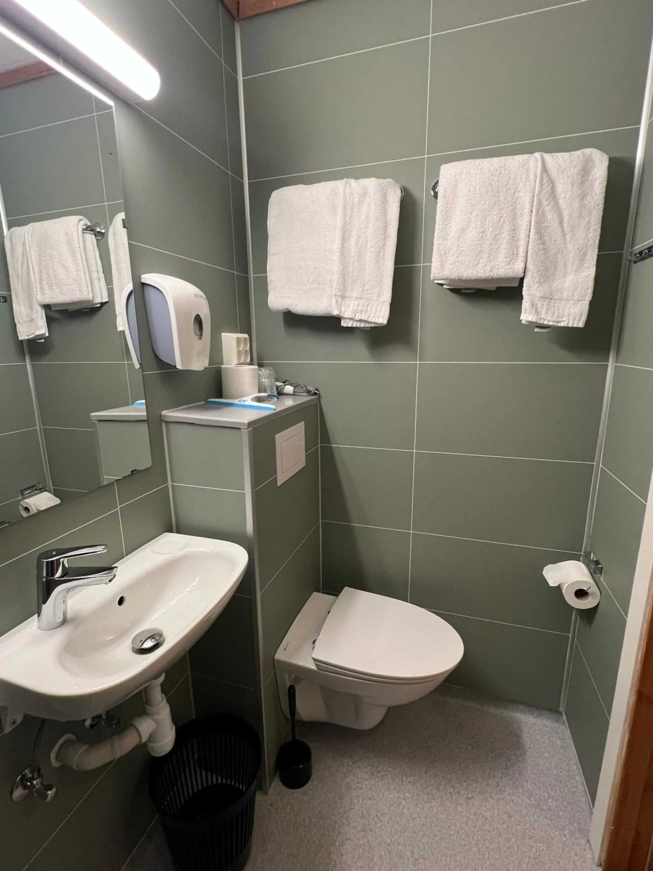 Toilet in Hjelle Hotel