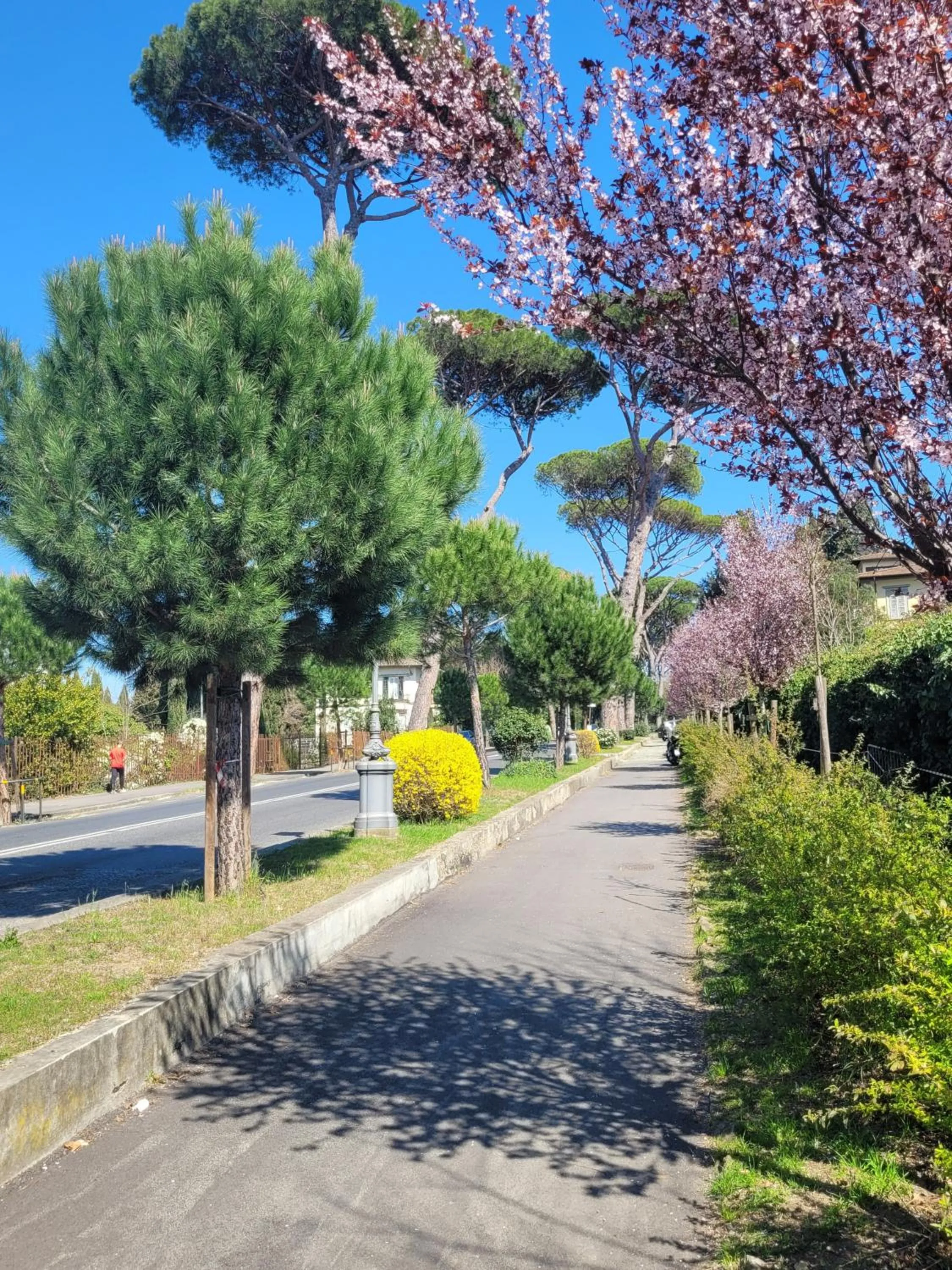 Villa Lia - Apartment in Villa with private garden and Pool